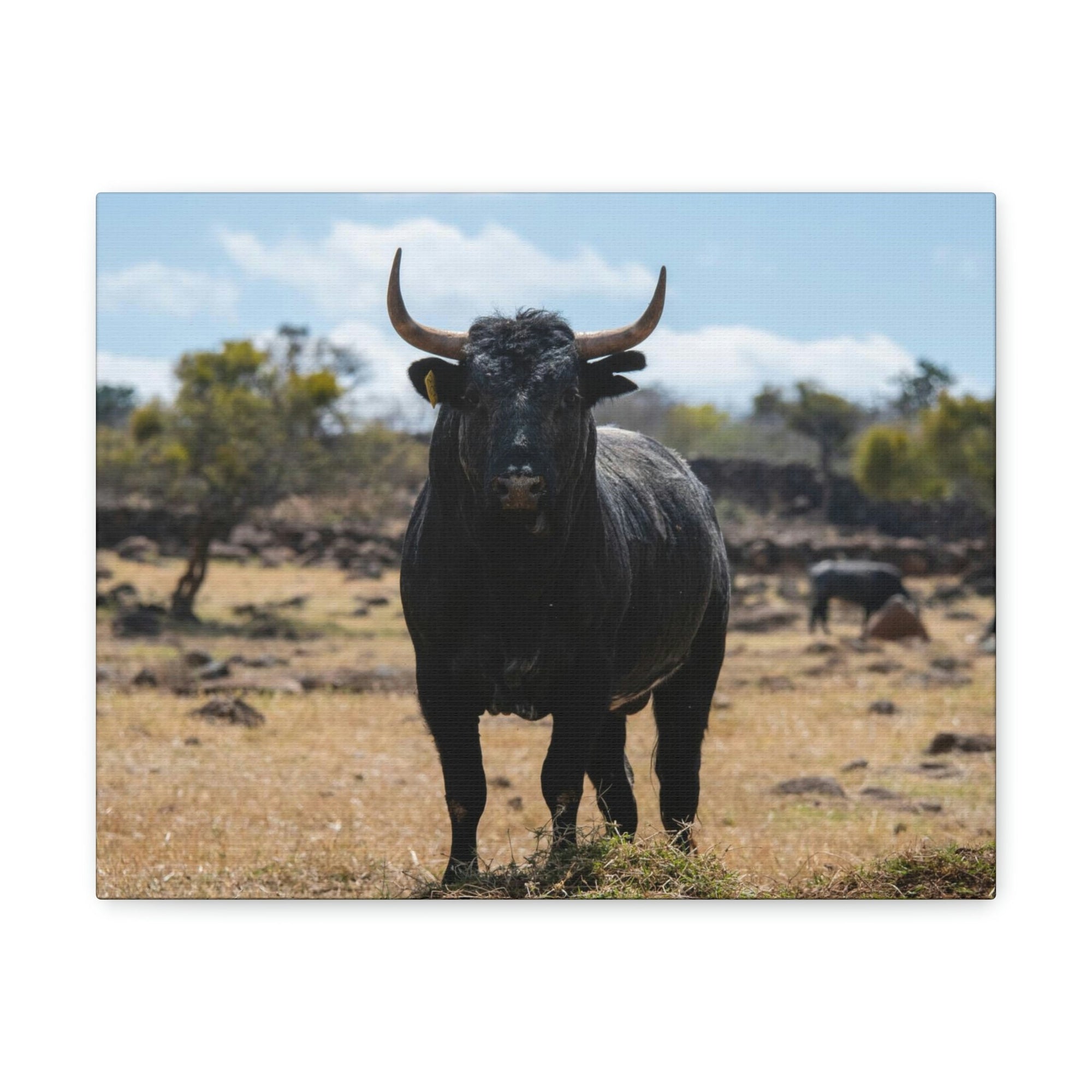 Scripture Walls Majestic Bull Art Majestic Bull Print Animal Wall Art Wildlife Canvas Prints Wall Art Ready to Hang Unframed-Express Your Love Gifts