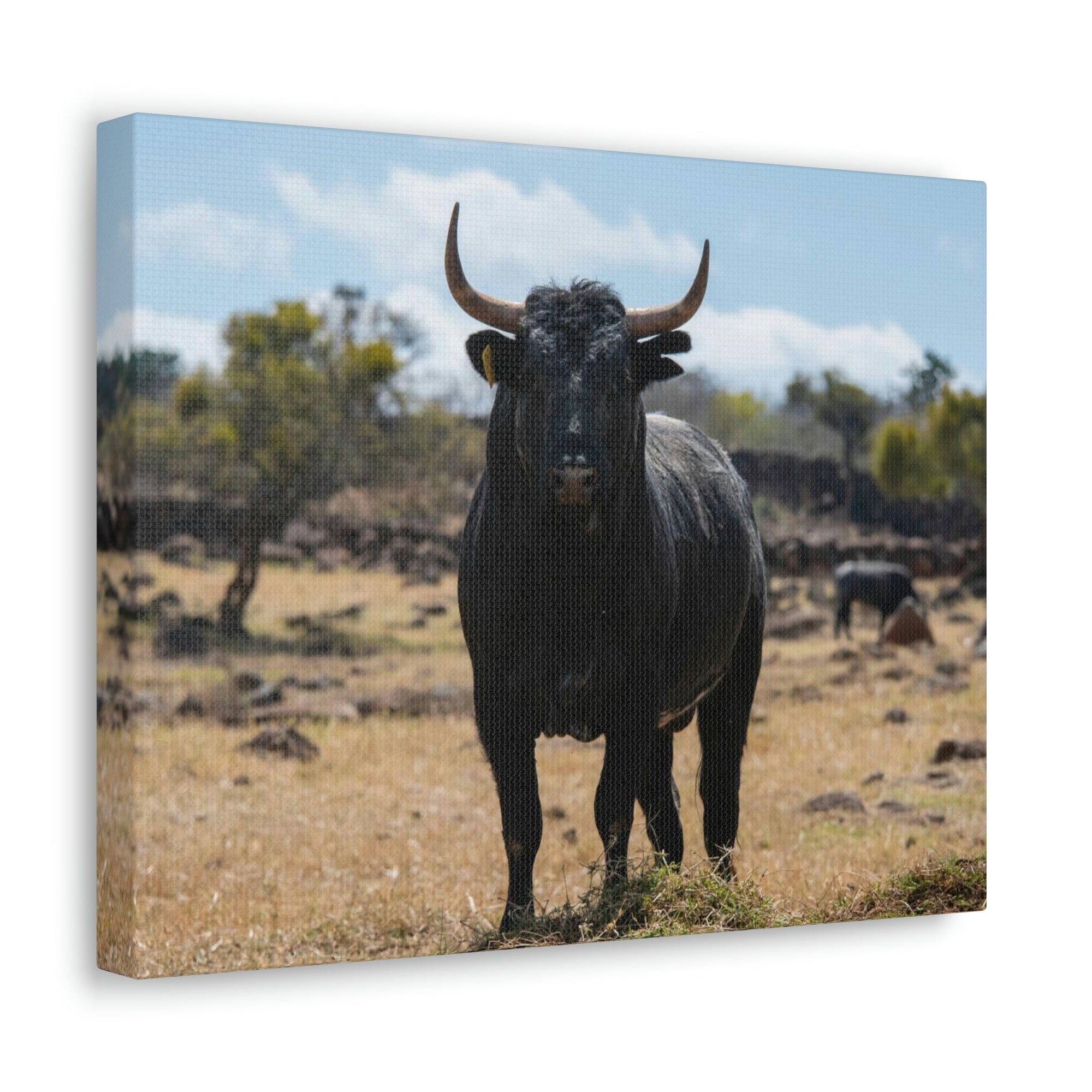 Scripture Walls Majestic Bull Art Majestic Bull Print Animal Wall Art Wildlife Canvas Prints Wall Art Ready to Hang Unframed-Express Your Love Gifts