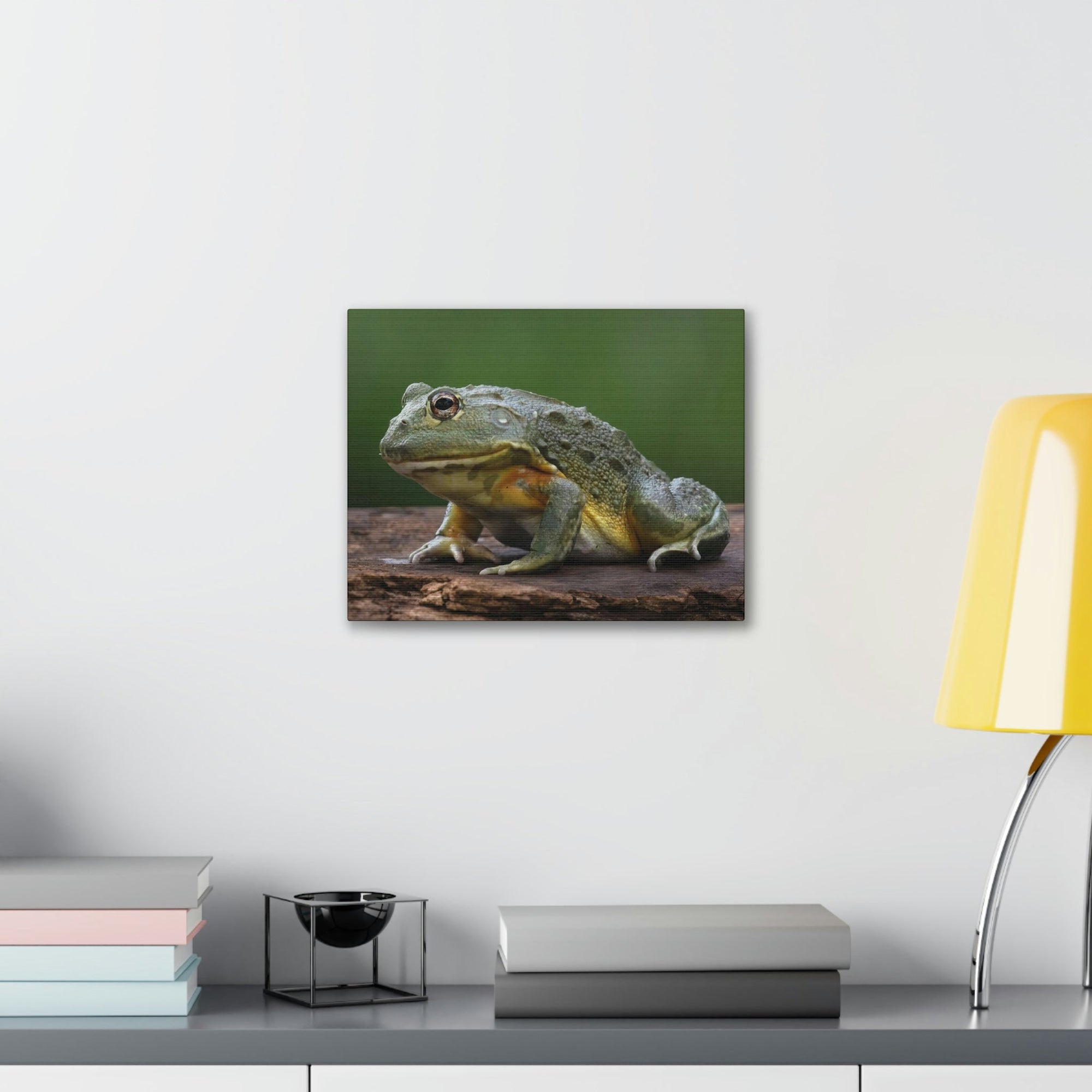 Scripture Walls Majestic Bull Frog Art Majestic Bull Frog Print Animal Wall Art Wildlife Canvas Prints Wall Art Ready to Hang Unframed-Express Your Love Gifts