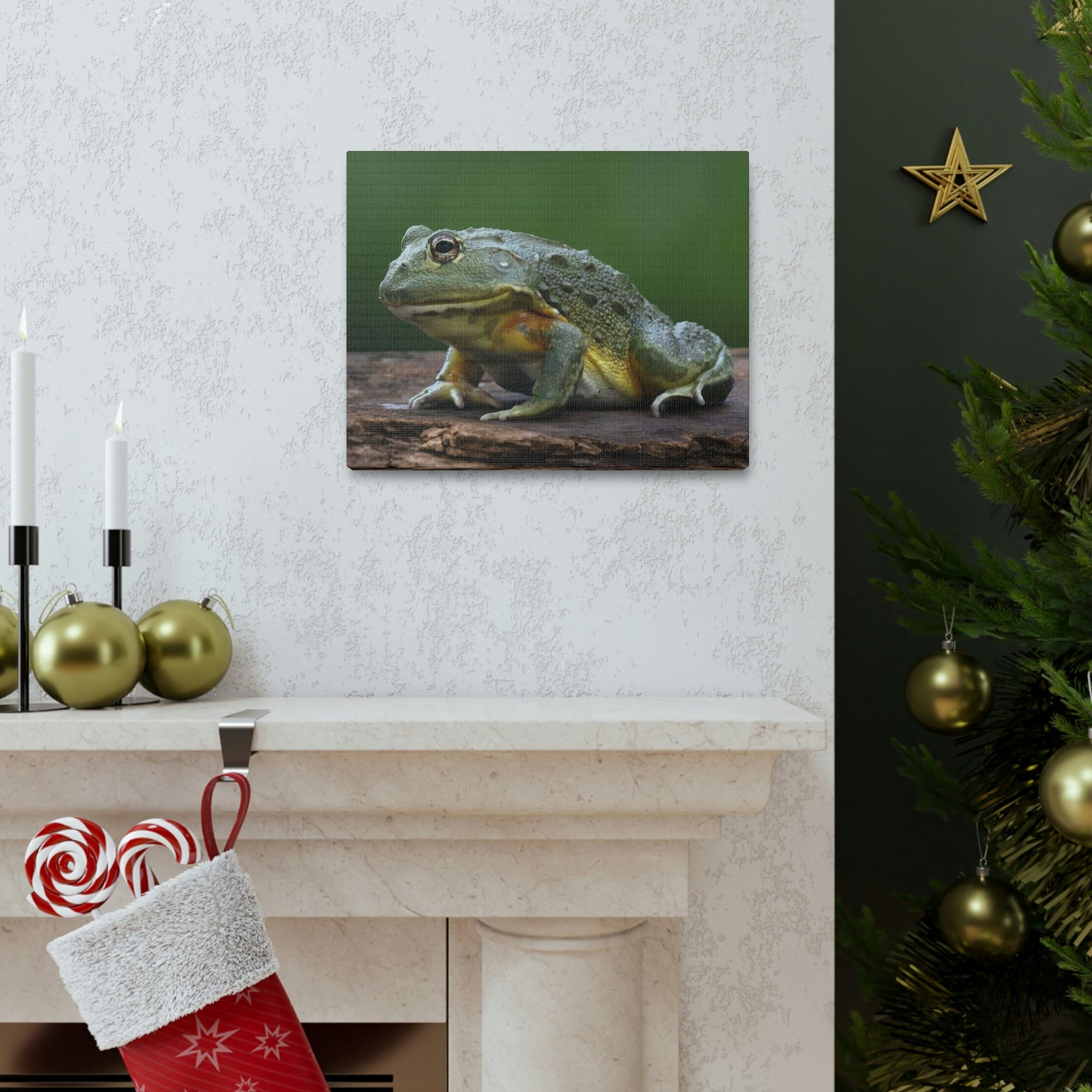 Scripture Walls Majestic Bull Frog Art Majestic Bull Frog Print Animal Wall Art Wildlife Canvas Prints Wall Art Ready to Hang Unframed-Express Your Love Gifts