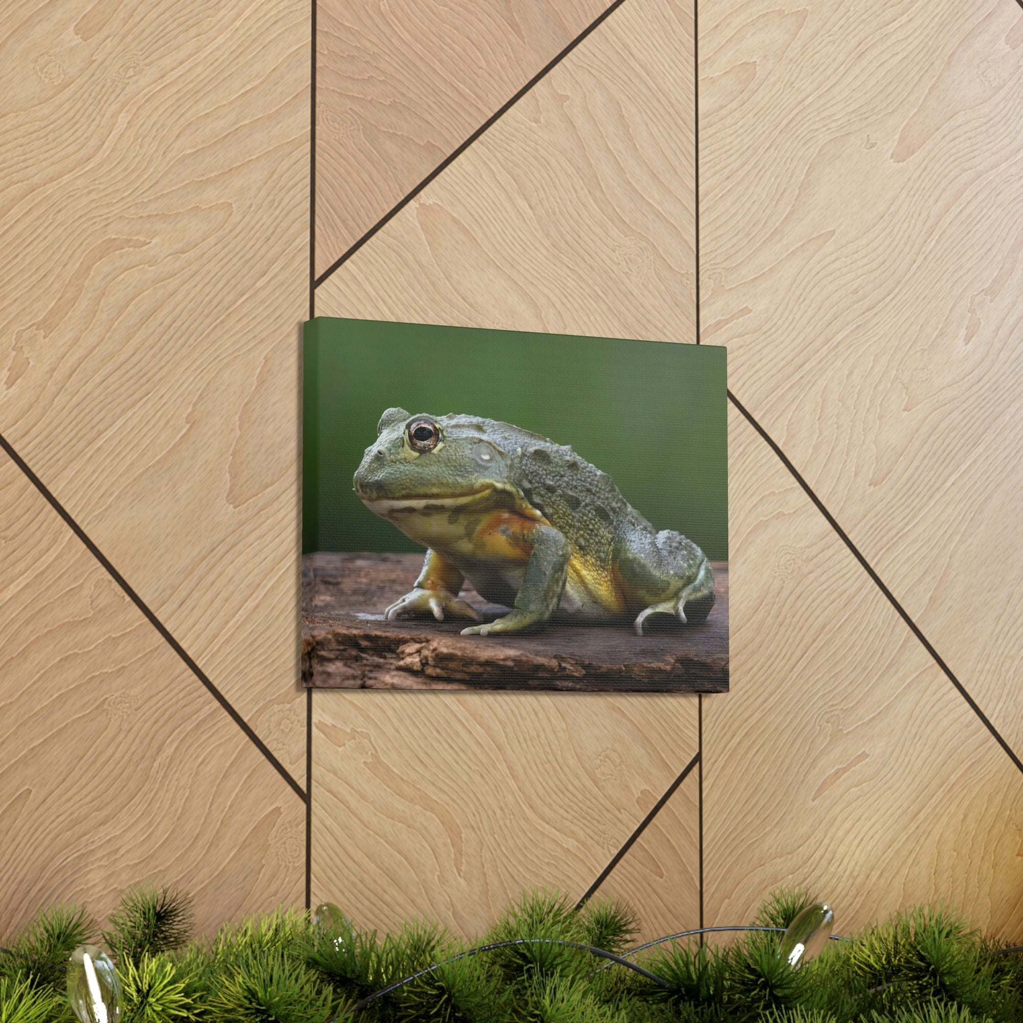 Scripture Walls Majestic Bull Frog Art Majestic Bull Frog Print Animal Wall Art Wildlife Canvas Prints Wall Art Ready to Hang Unframed-Express Your Love Gifts