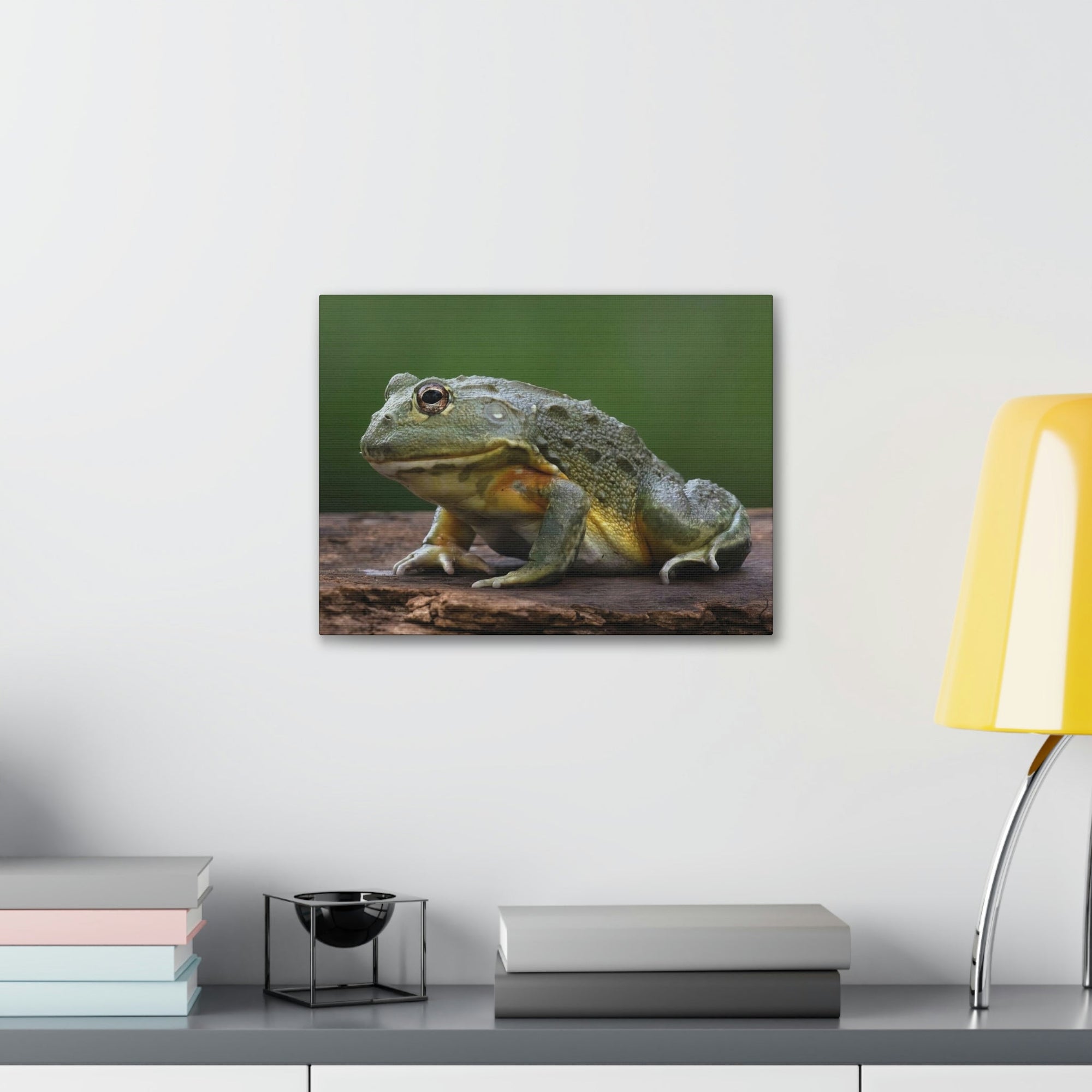 Scripture Walls Majestic Bull Frog Art Majestic Bull Frog Print Animal Wall Art Wildlife Canvas Prints Wall Art Ready to Hang Unframed-Express Your Love Gifts