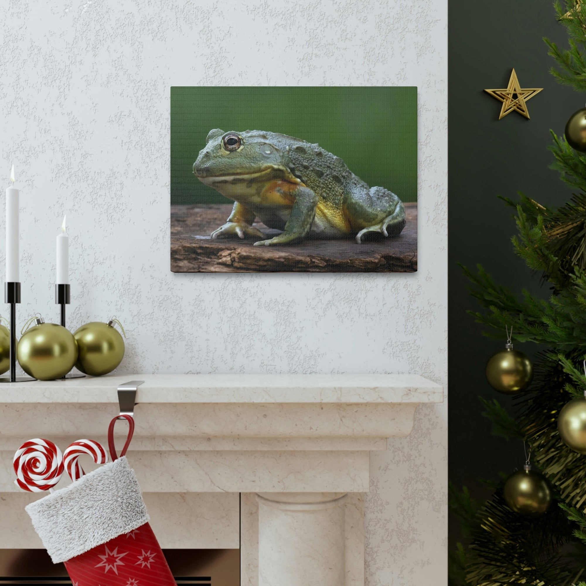 Scripture Walls Majestic Bull Frog Art Majestic Bull Frog Print Animal Wall Art Wildlife Canvas Prints Wall Art Ready to Hang Unframed-Express Your Love Gifts