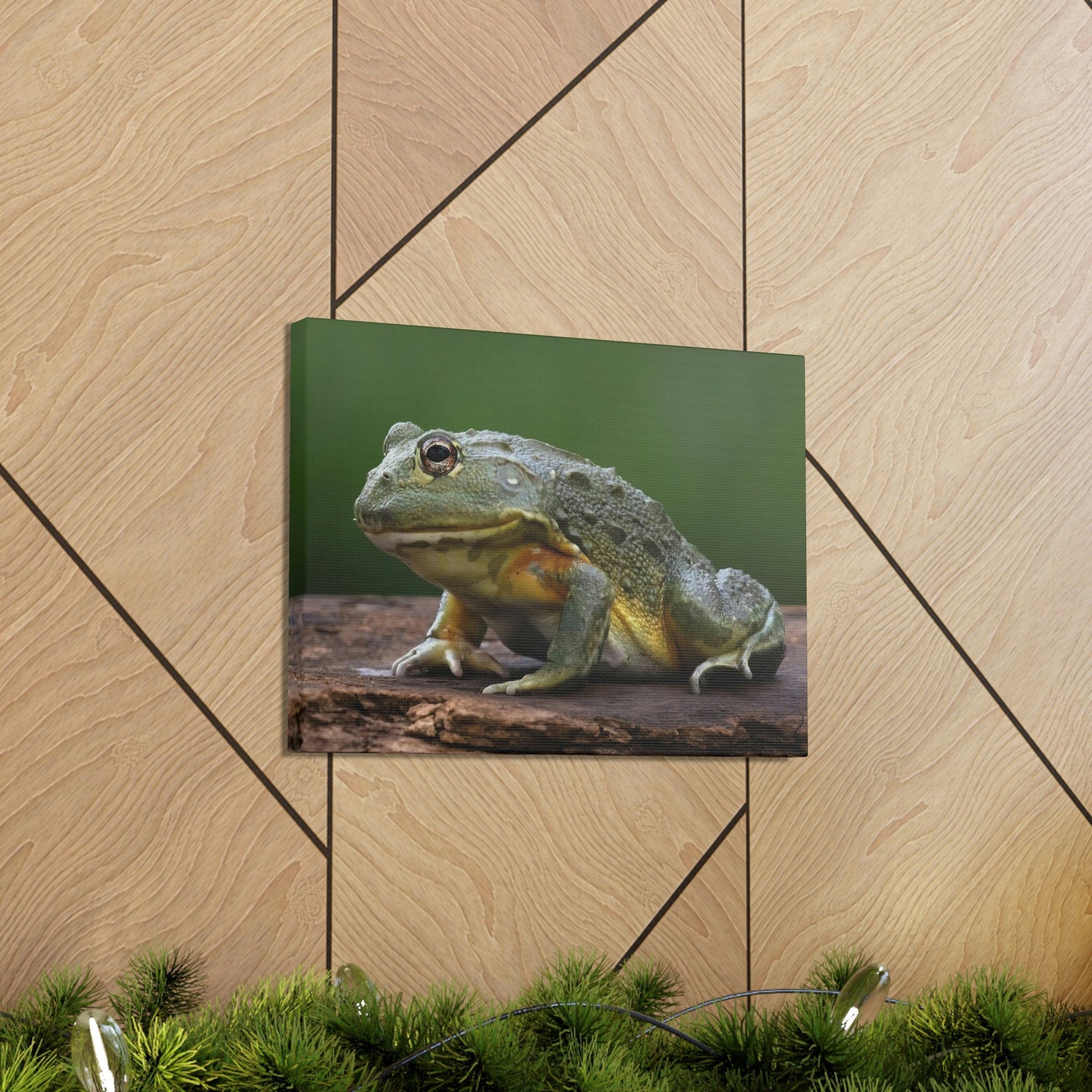 Scripture Walls Majestic Bull Frog Art Majestic Bull Frog Print Animal Wall Art Wildlife Canvas Prints Wall Art Ready to Hang Unframed-Express Your Love Gifts