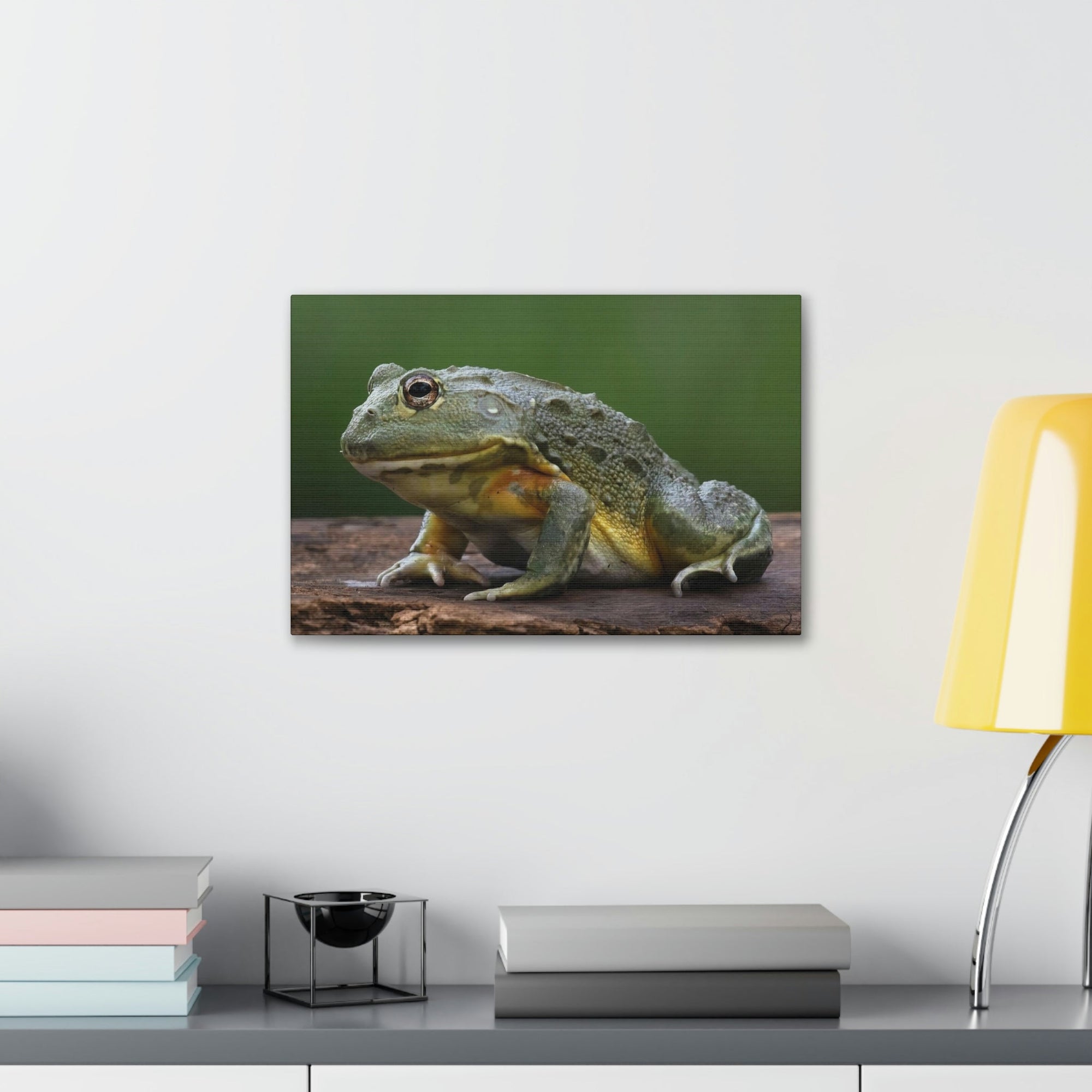 Scripture Walls Majestic Bull Frog Art Majestic Bull Frog Print Animal Wall Art Wildlife Canvas Prints Wall Art Ready to Hang Unframed-Express Your Love Gifts