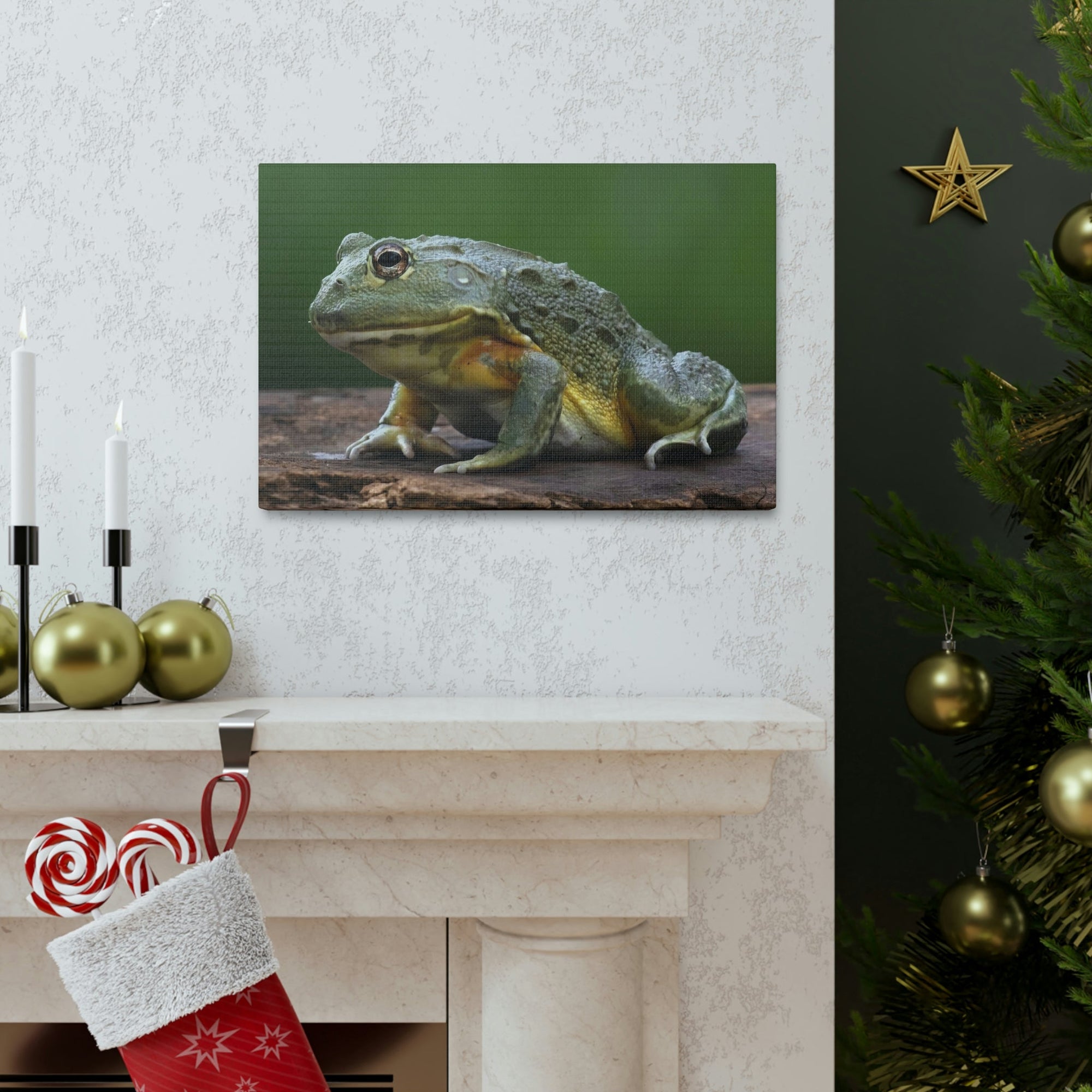 Scripture Walls Majestic Bull Frog Art Majestic Bull Frog Print Animal Wall Art Wildlife Canvas Prints Wall Art Ready to Hang Unframed-Express Your Love Gifts