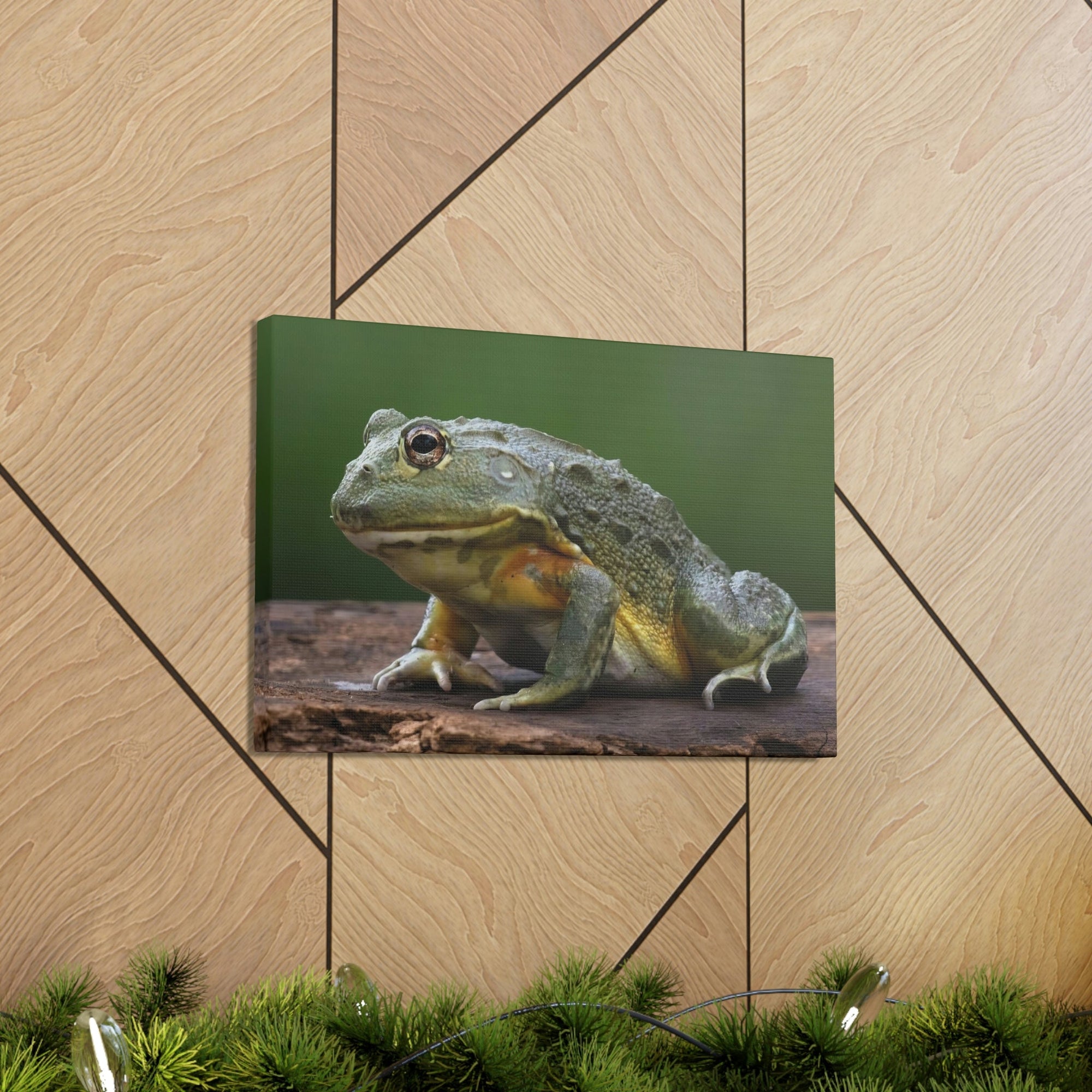 Scripture Walls Majestic Bull Frog Art Majestic Bull Frog Print Animal Wall Art Wildlife Canvas Prints Wall Art Ready to Hang Unframed-Express Your Love Gifts