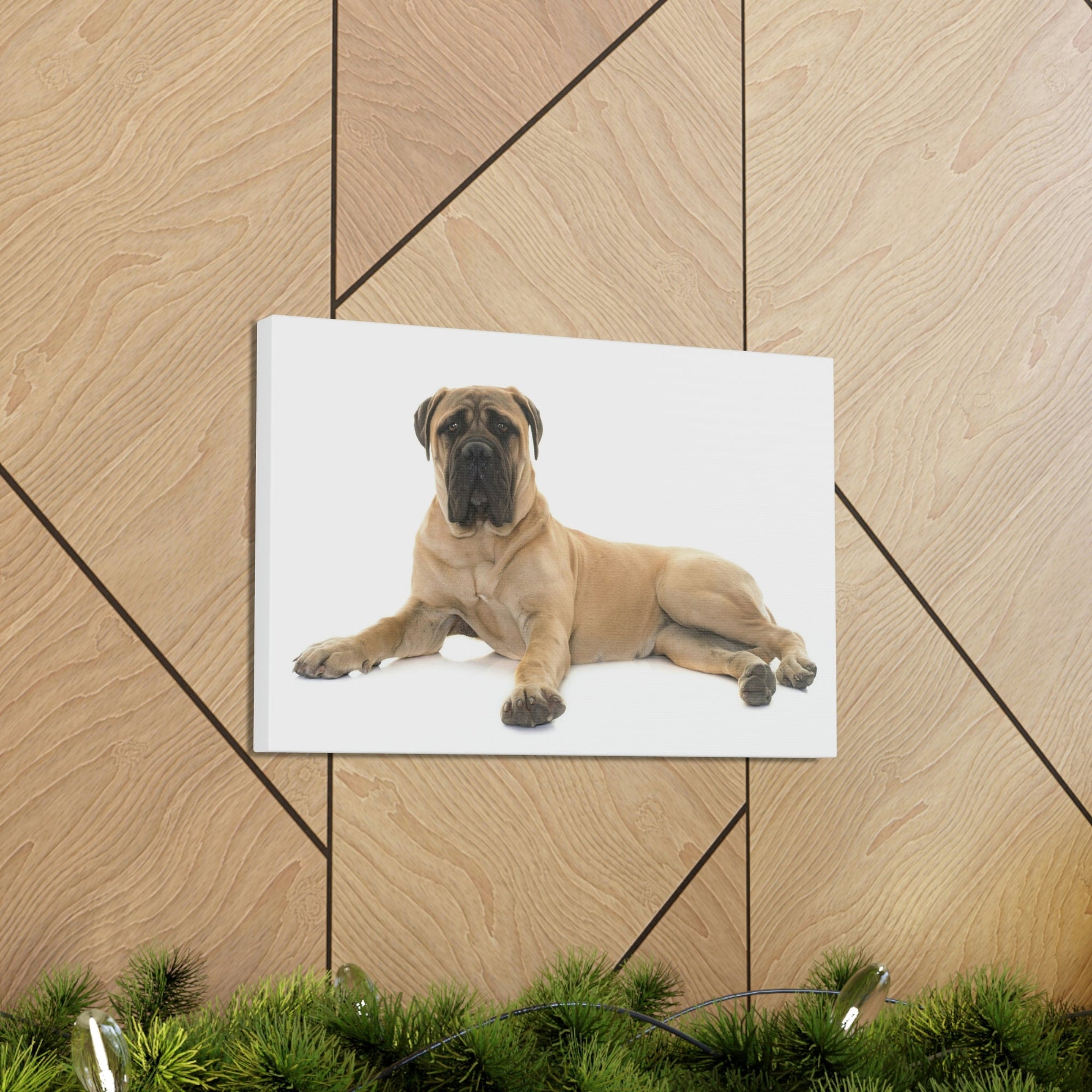 Scripture Walls Majestic Bull Mastiff Art Majestic Bull Mastiff Print Animal Wall Art Wildlife Canvas Prints Wall Art Ready to Hang Unframed-Express Your Love Gifts