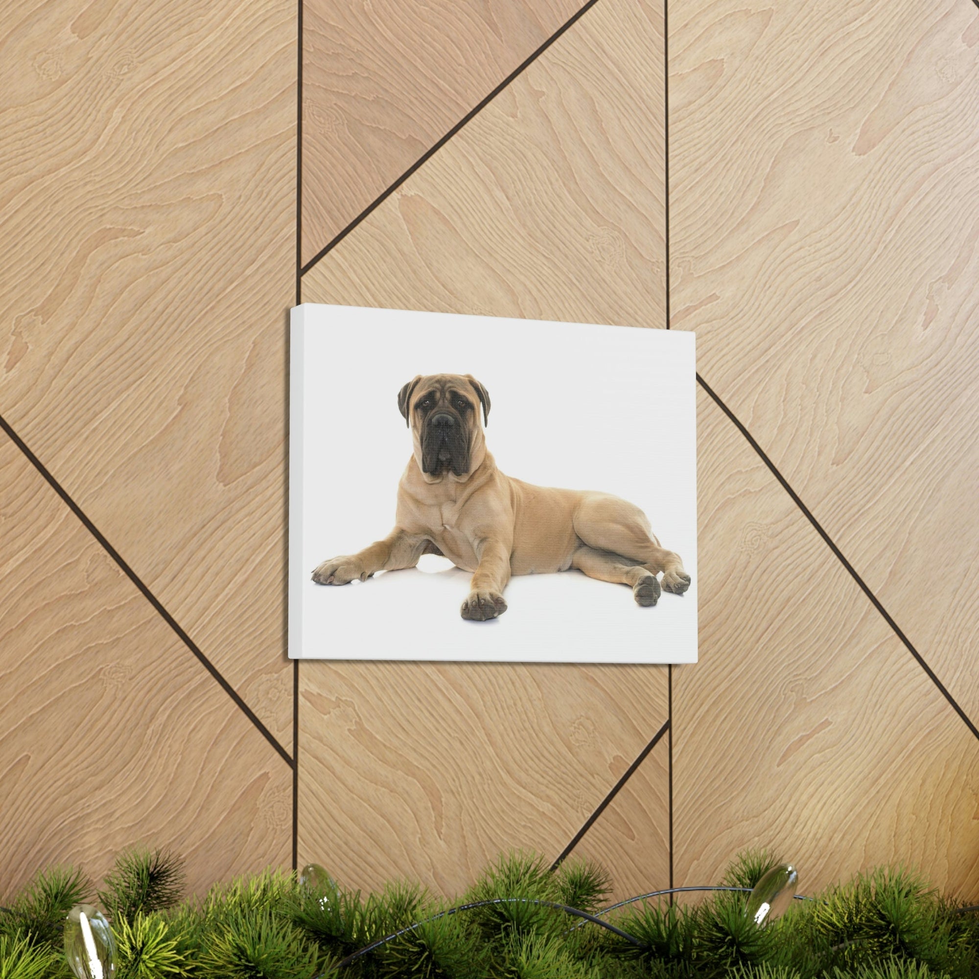 Scripture Walls Majestic Bull Mastiff Art Majestic Bull Mastiff Print Animal Wall Art Wildlife Canvas Prints Wall Art Ready to Hang Unframed-Express Your Love Gifts