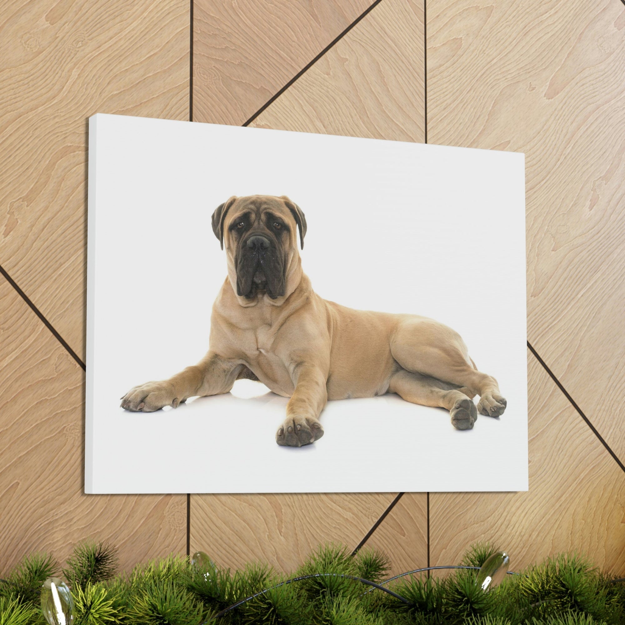 Scripture Walls Majestic Bull Mastiff Art Majestic Bull Mastiff Print Animal Wall Art Wildlife Canvas Prints Wall Art Ready to Hang Unframed-Express Your Love Gifts