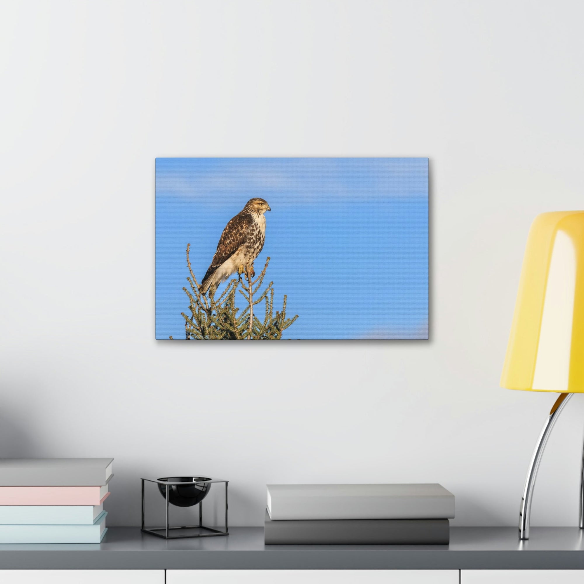 Scripture Walls Majestic Buzzard Art Majestic Buzzard Print Animal Wall Art Wildlife Canvas Prints Wall Art Ready to Hang Unframed-Express Your Love Gifts