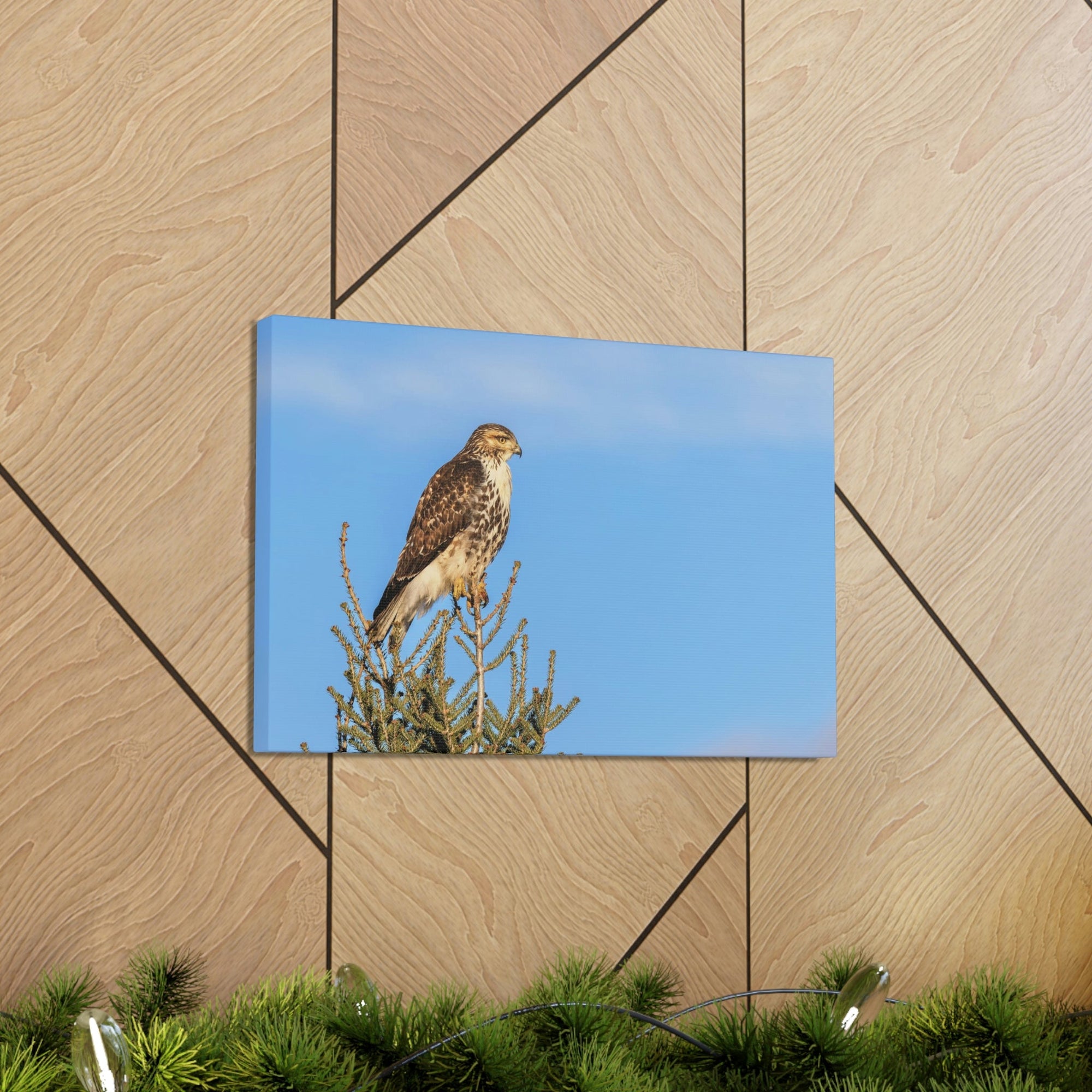 Scripture Walls Majestic Buzzard Art Majestic Buzzard Print Animal Wall Art Wildlife Canvas Prints Wall Art Ready to Hang Unframed-Express Your Love Gifts