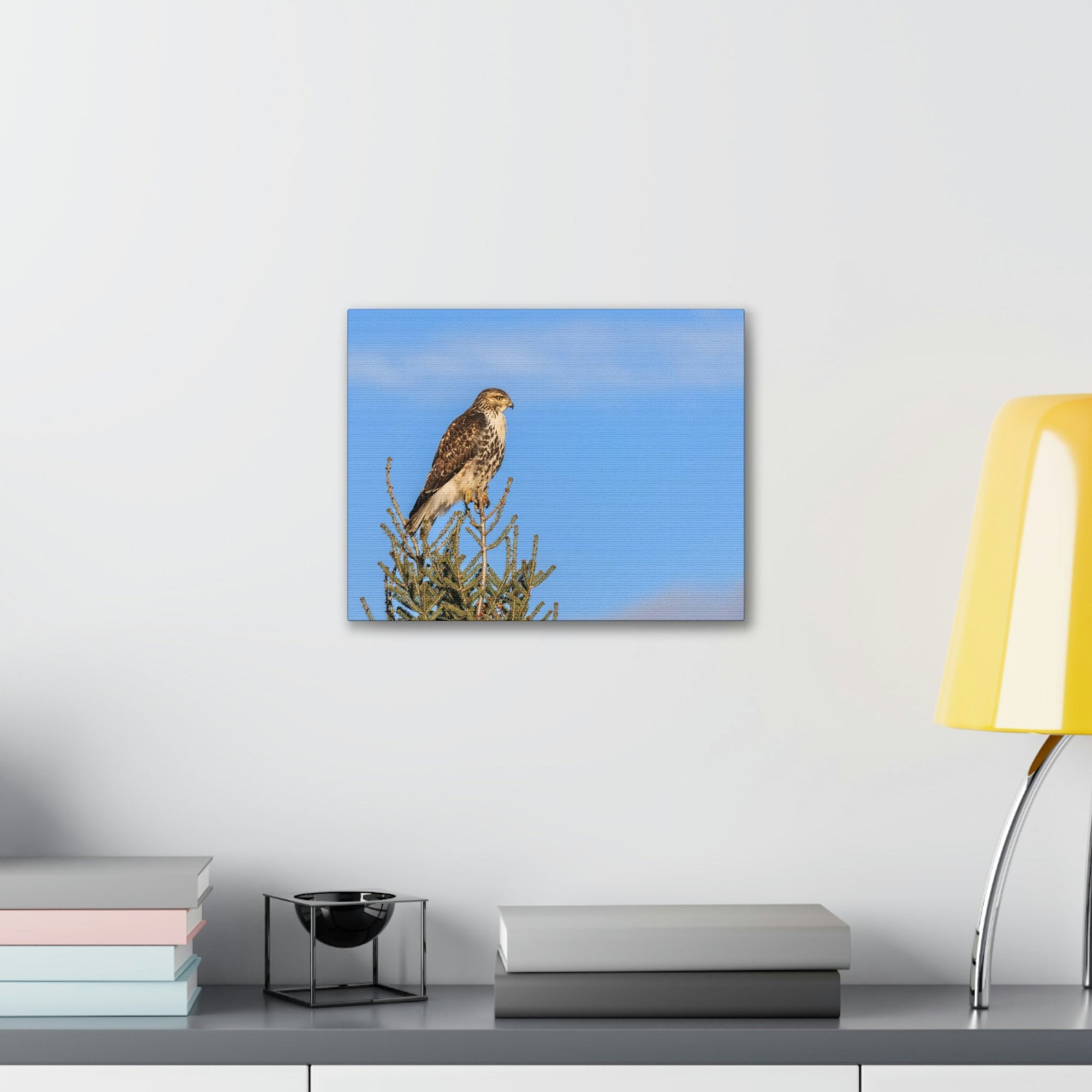 Scripture Walls Majestic Buzzard Art Majestic Buzzard Print Animal Wall Art Wildlife Canvas Prints Wall Art Ready to Hang Unframed-Express Your Love Gifts