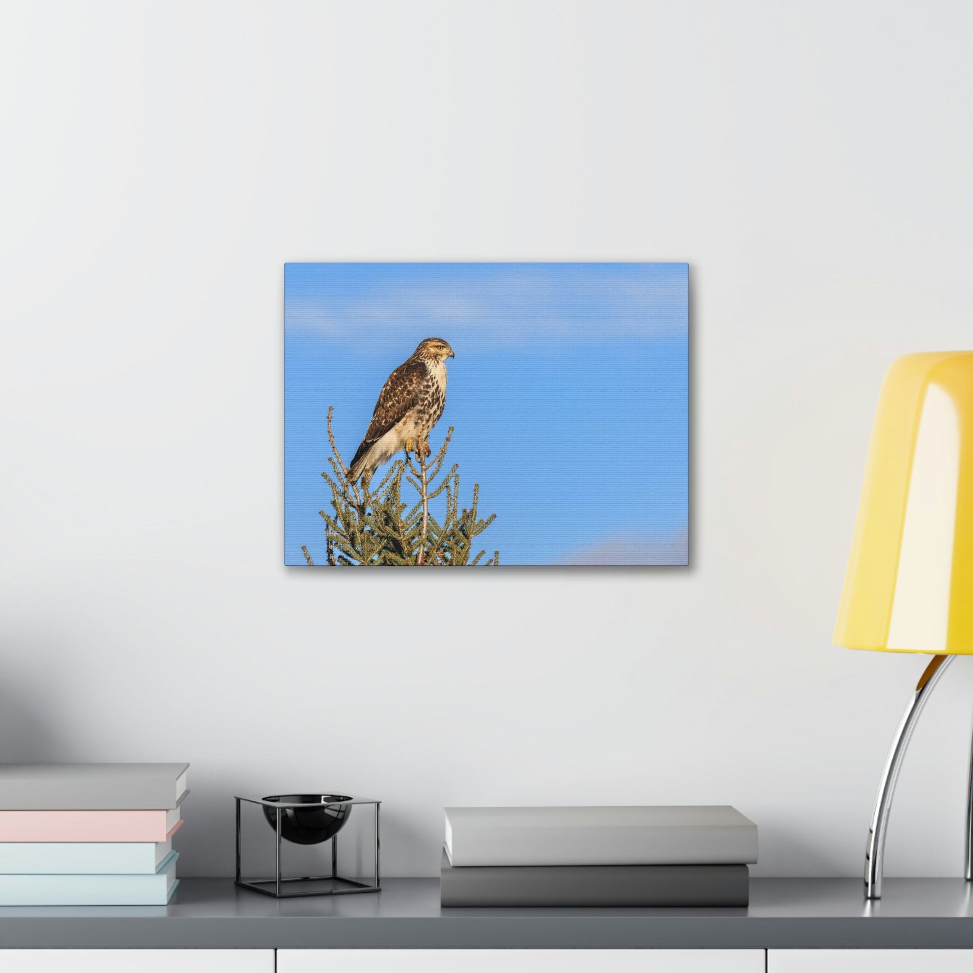 Scripture Walls Majestic Buzzard Art Majestic Buzzard Print Animal Wall Art Wildlife Canvas Prints Wall Art Ready to Hang Unframed-Express Your Love Gifts