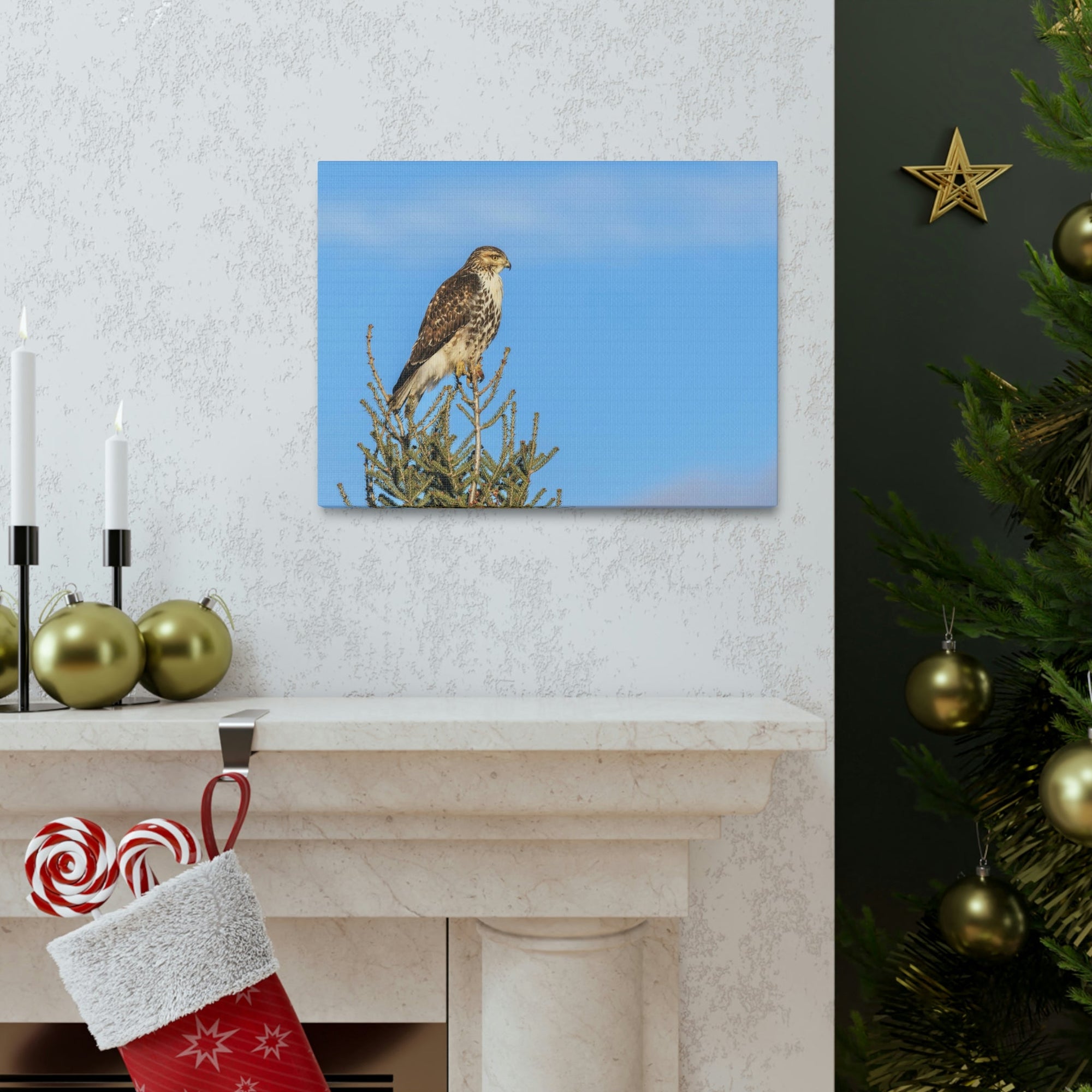 Scripture Walls Majestic Buzzard Art Majestic Buzzard Print Animal Wall Art Wildlife Canvas Prints Wall Art Ready to Hang Unframed-Express Your Love Gifts