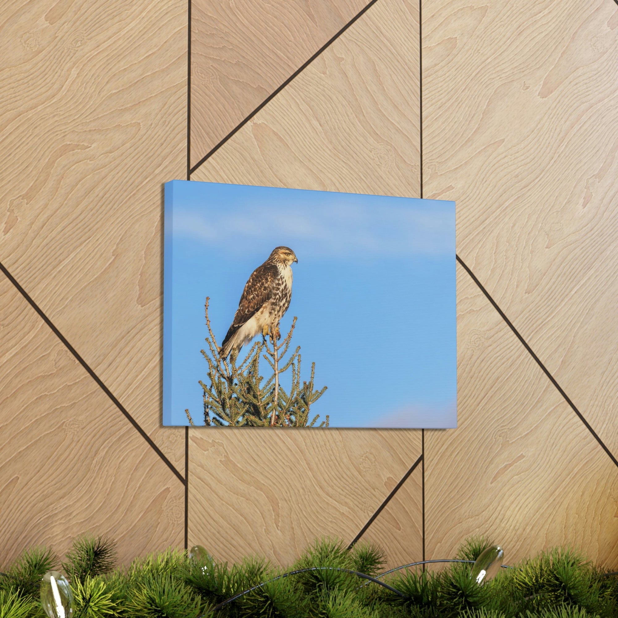 Scripture Walls Majestic Buzzard Art Majestic Buzzard Print Animal Wall Art Wildlife Canvas Prints Wall Art Ready to Hang Unframed-Express Your Love Gifts