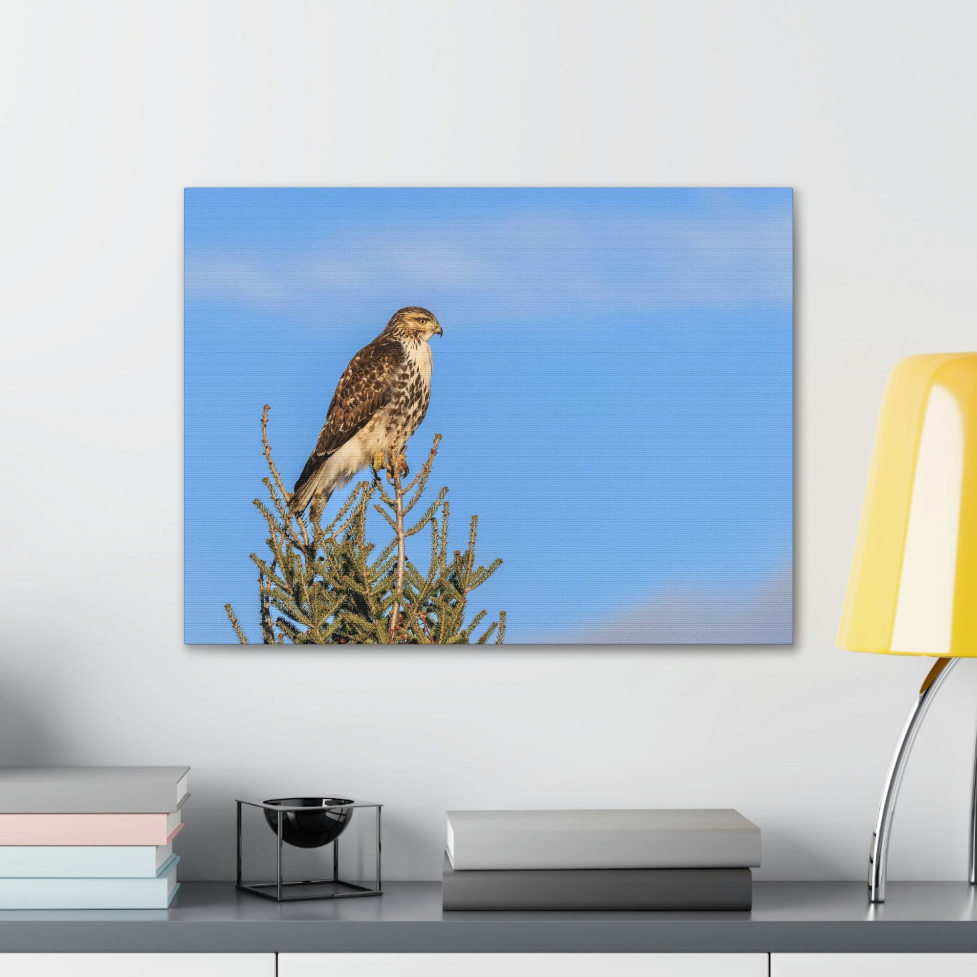 Scripture Walls Majestic Buzzard Art Majestic Buzzard Print Animal Wall Art Wildlife Canvas Prints Wall Art Ready to Hang Unframed-Express Your Love Gifts