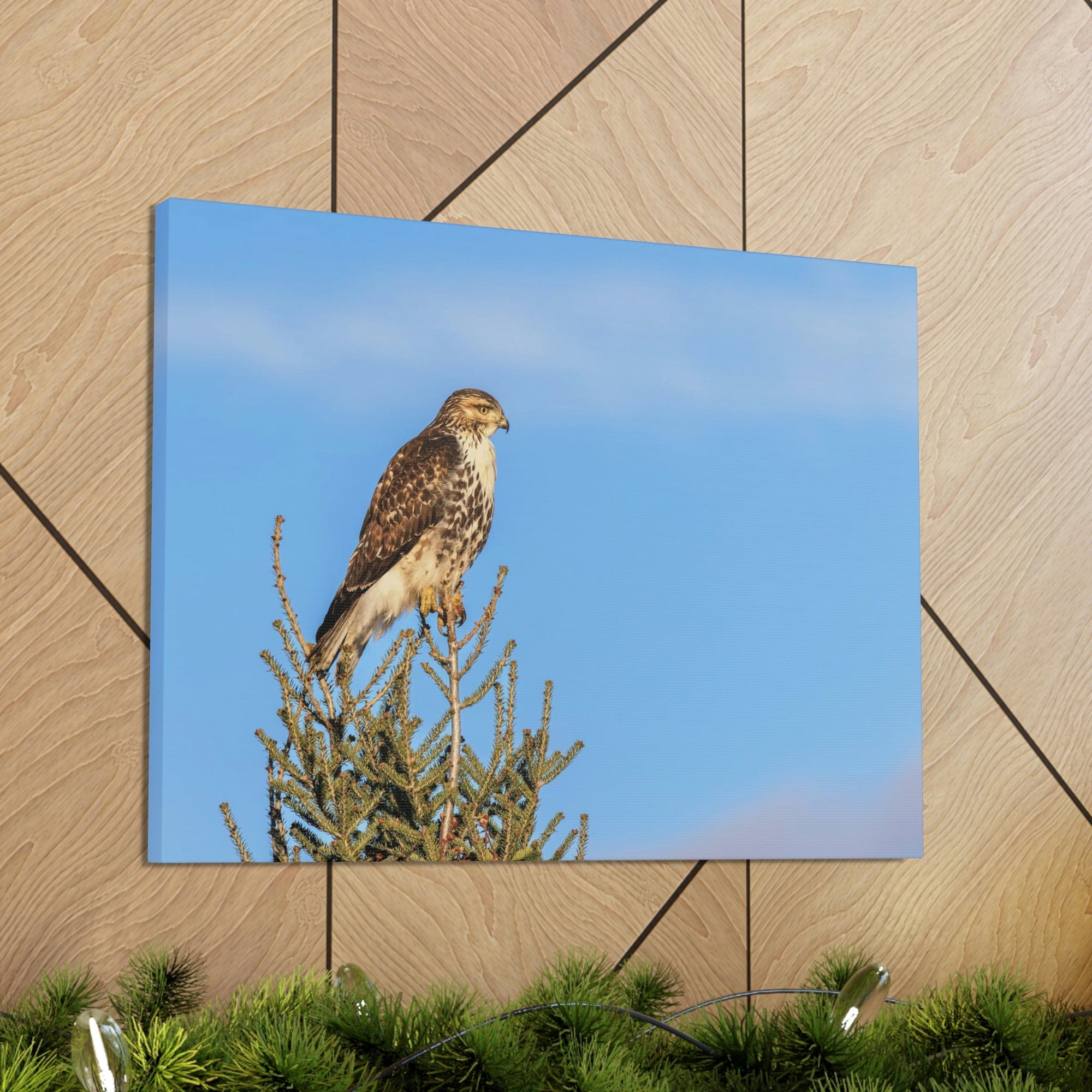 Scripture Walls Majestic Buzzard Art Majestic Buzzard Print Animal Wall Art Wildlife Canvas Prints Wall Art Ready to Hang Unframed-Express Your Love Gifts