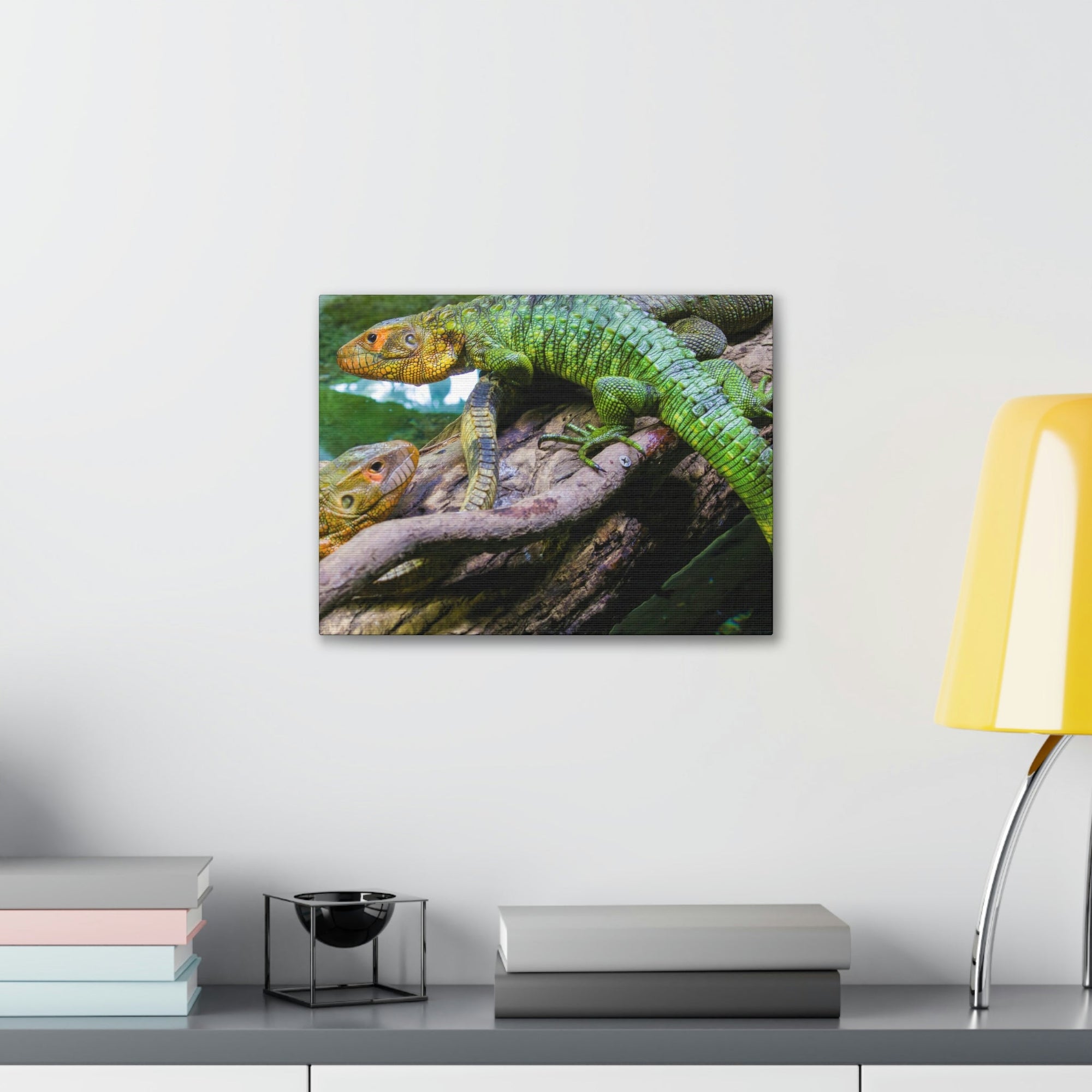 Scripture Walls Majestic Caiman Lizard Art Majestic Caiman Lizard Print Animal Wall Art Wildlife Canvas Prints Wall Art Ready to Hang Unframed-Express Your Love Gifts