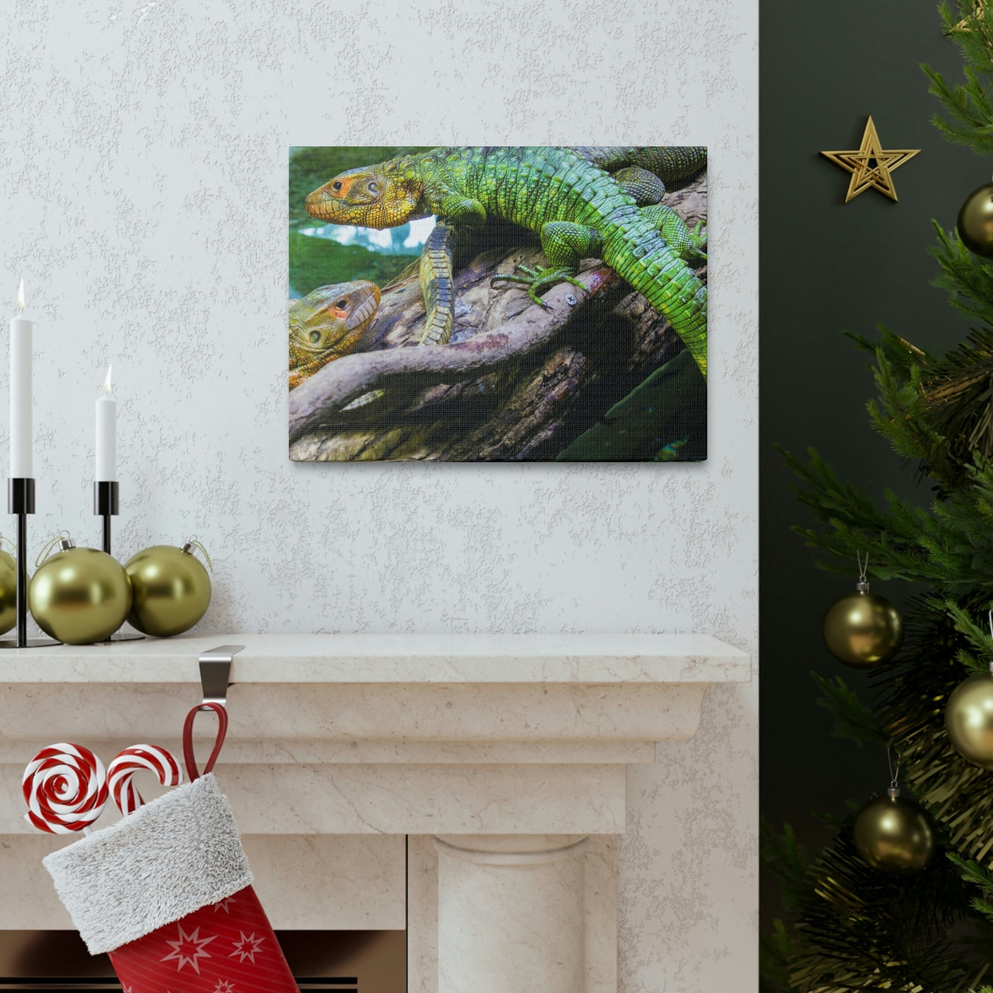 Scripture Walls Majestic Caiman Lizard Art Majestic Caiman Lizard Print Animal Wall Art Wildlife Canvas Prints Wall Art Ready to Hang Unframed-Express Your Love Gifts