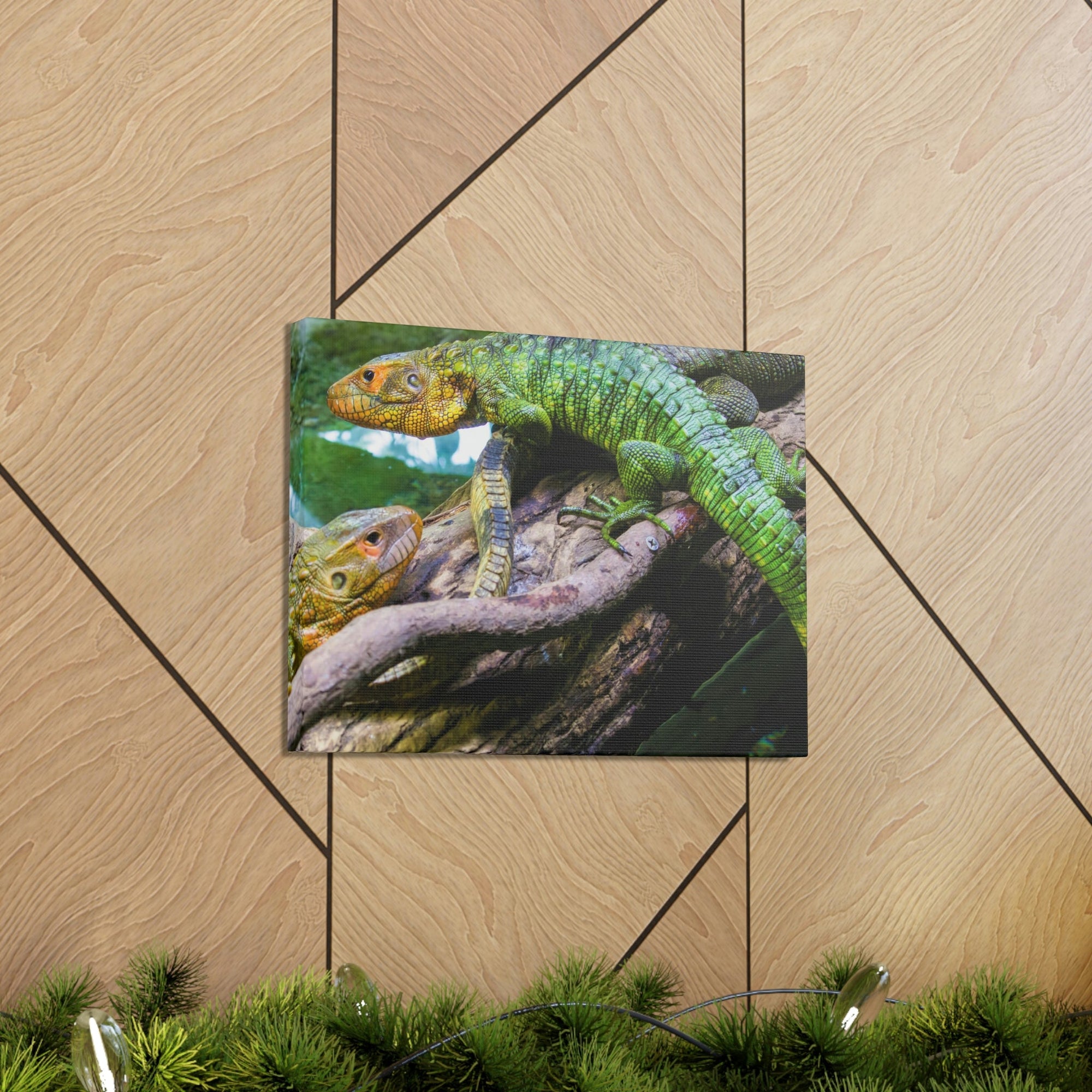 Scripture Walls Majestic Caiman Lizard Art Majestic Caiman Lizard Print Animal Wall Art Wildlife Canvas Prints Wall Art Ready to Hang Unframed-Express Your Love Gifts