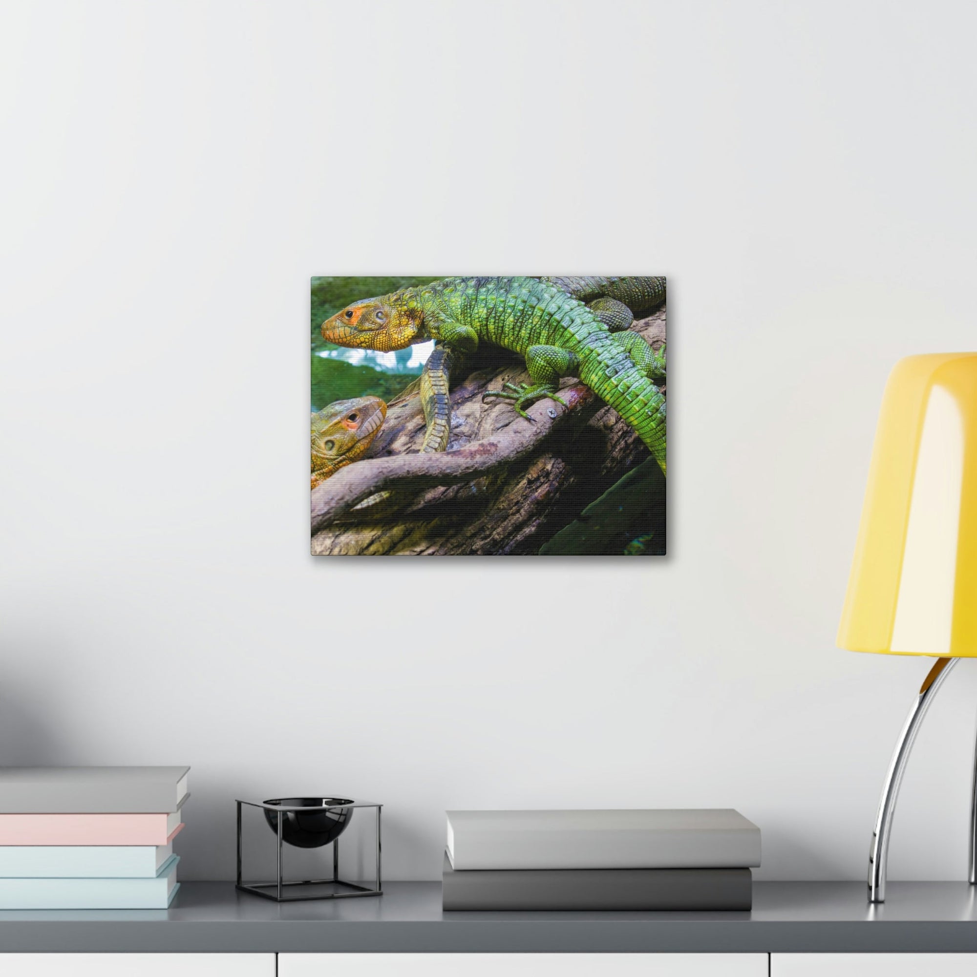 Scripture Walls Majestic Caiman Lizard Art Majestic Caiman Lizard Print Animal Wall Art Wildlife Canvas Prints Wall Art Ready to Hang Unframed-Express Your Love Gifts