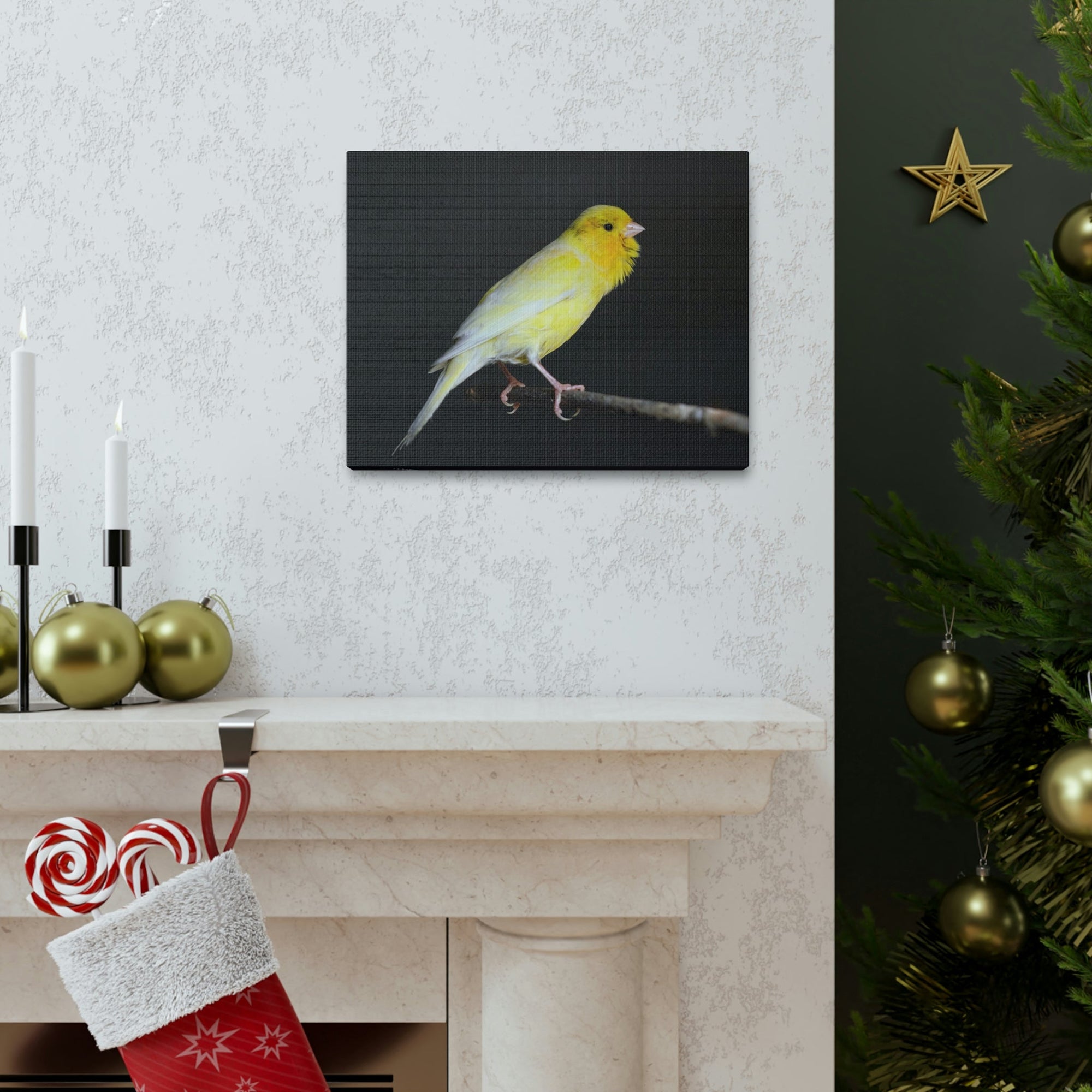 Scripture Walls Majestic Canary Art Majestic Canary Print Animal Wall Art Wildlife Canvas Prints Wall Art Ready to Hang Unframed-Express Your Love Gifts