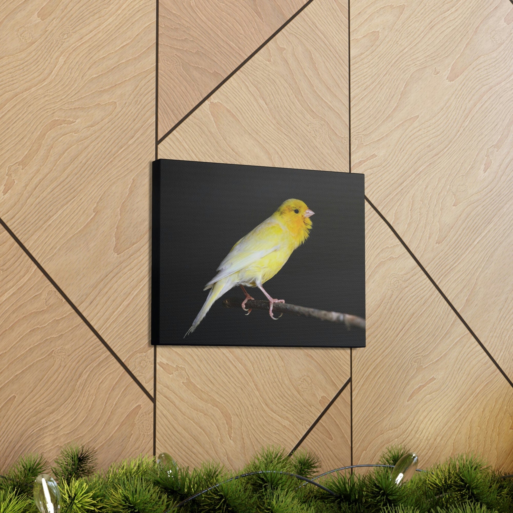 Scripture Walls Majestic Canary Art Majestic Canary Print Animal Wall Art Wildlife Canvas Prints Wall Art Ready to Hang Unframed-Express Your Love Gifts