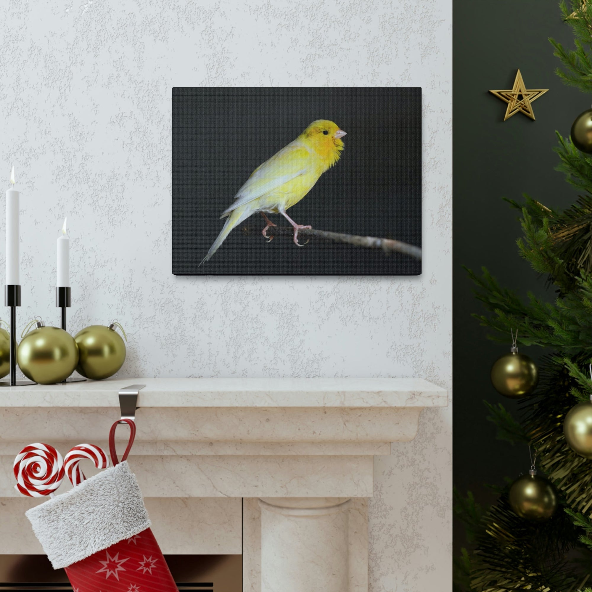 Scripture Walls Majestic Canary Art Majestic Canary Print Animal Wall Art Wildlife Canvas Prints Wall Art Ready to Hang Unframed-Express Your Love Gifts