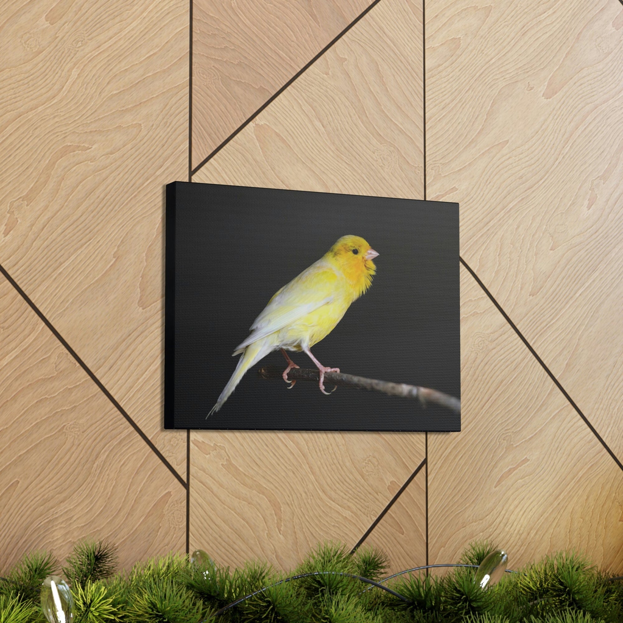 Scripture Walls Majestic Canary Art Majestic Canary Print Animal Wall Art Wildlife Canvas Prints Wall Art Ready to Hang Unframed-Express Your Love Gifts