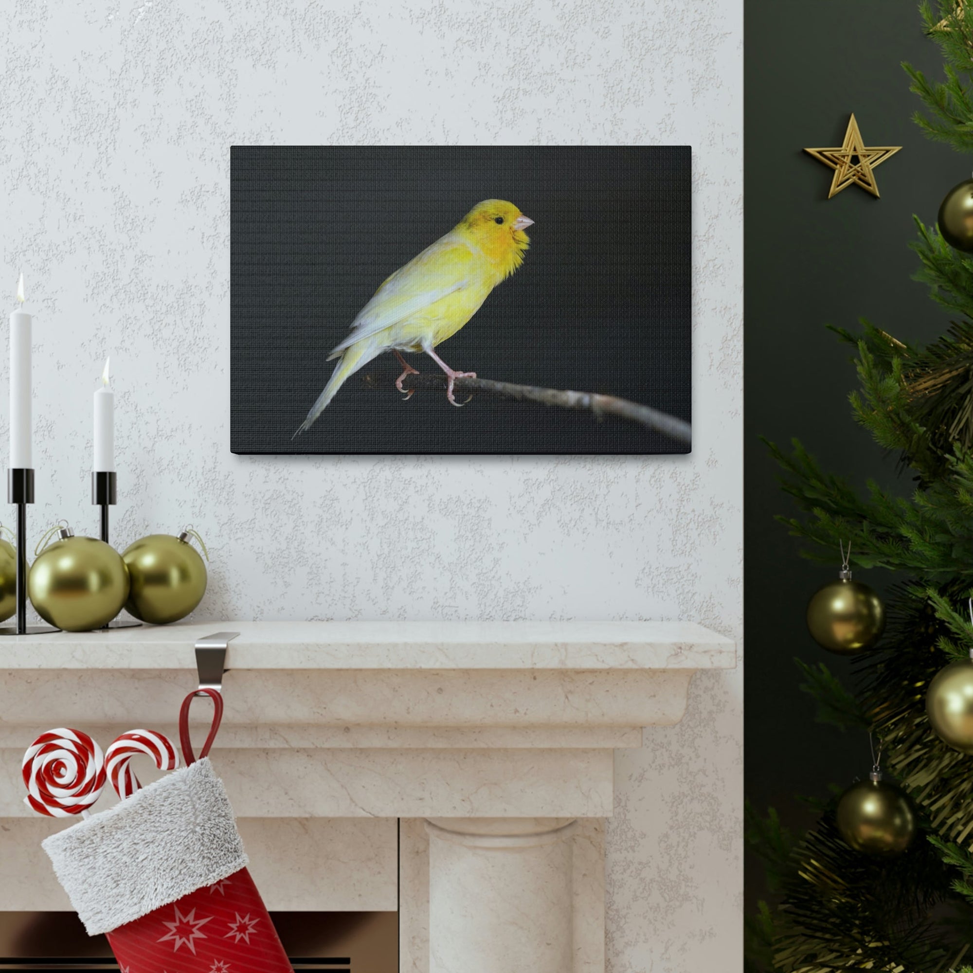 Scripture Walls Majestic Canary Art Majestic Canary Print Animal Wall Art Wildlife Canvas Prints Wall Art Ready to Hang Unframed-Express Your Love Gifts