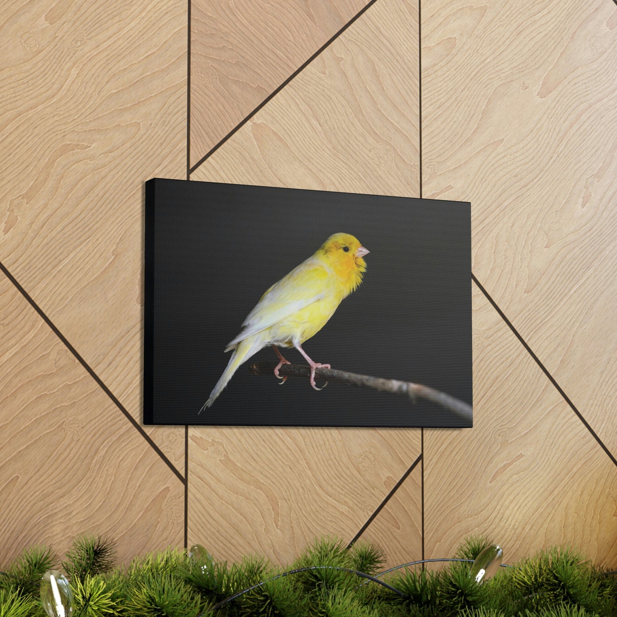 Scripture Walls Majestic Canary Art Majestic Canary Print Animal Wall Art Wildlife Canvas Prints Wall Art Ready to Hang Unframed-Express Your Love Gifts