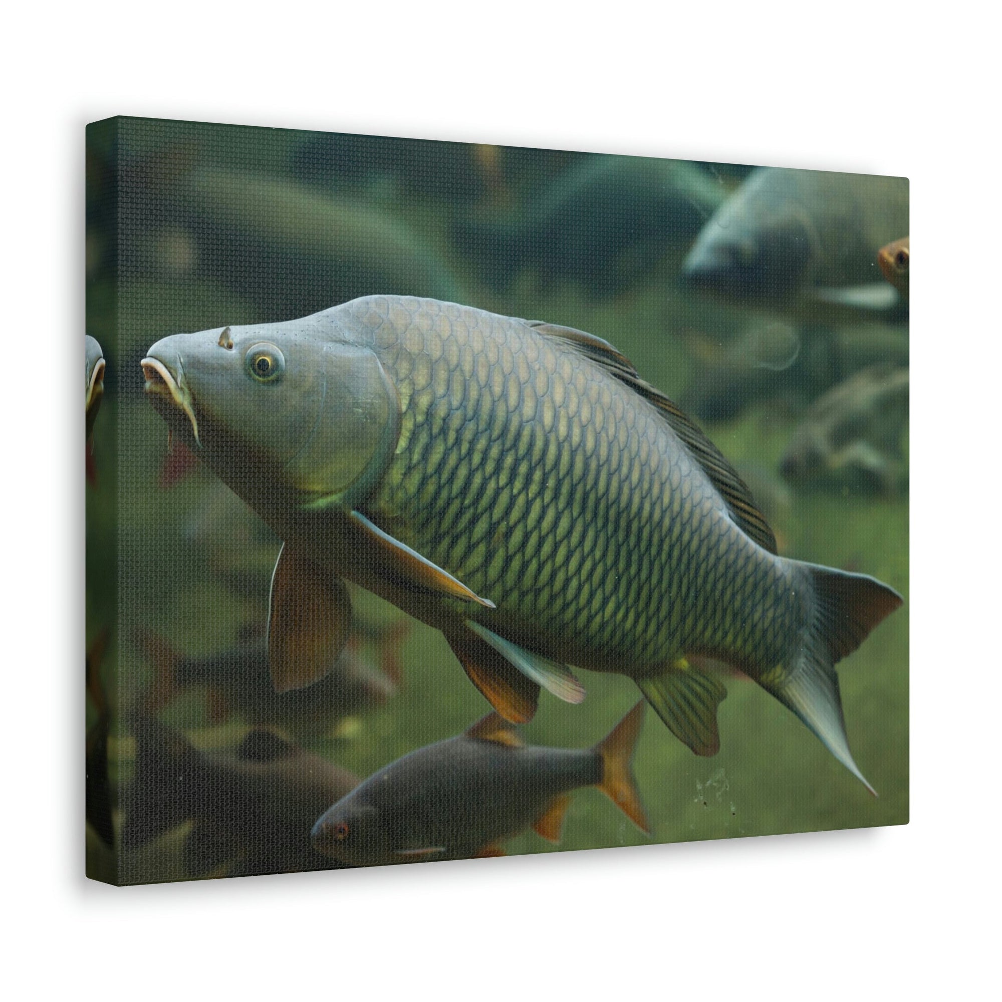 Scripture Walls Majestic Carp Art Majestic Carp Print Animal Wall Art Wildlife Canvas Prints Wall Art Ready to Hang Unframed-Express Your Love Gifts