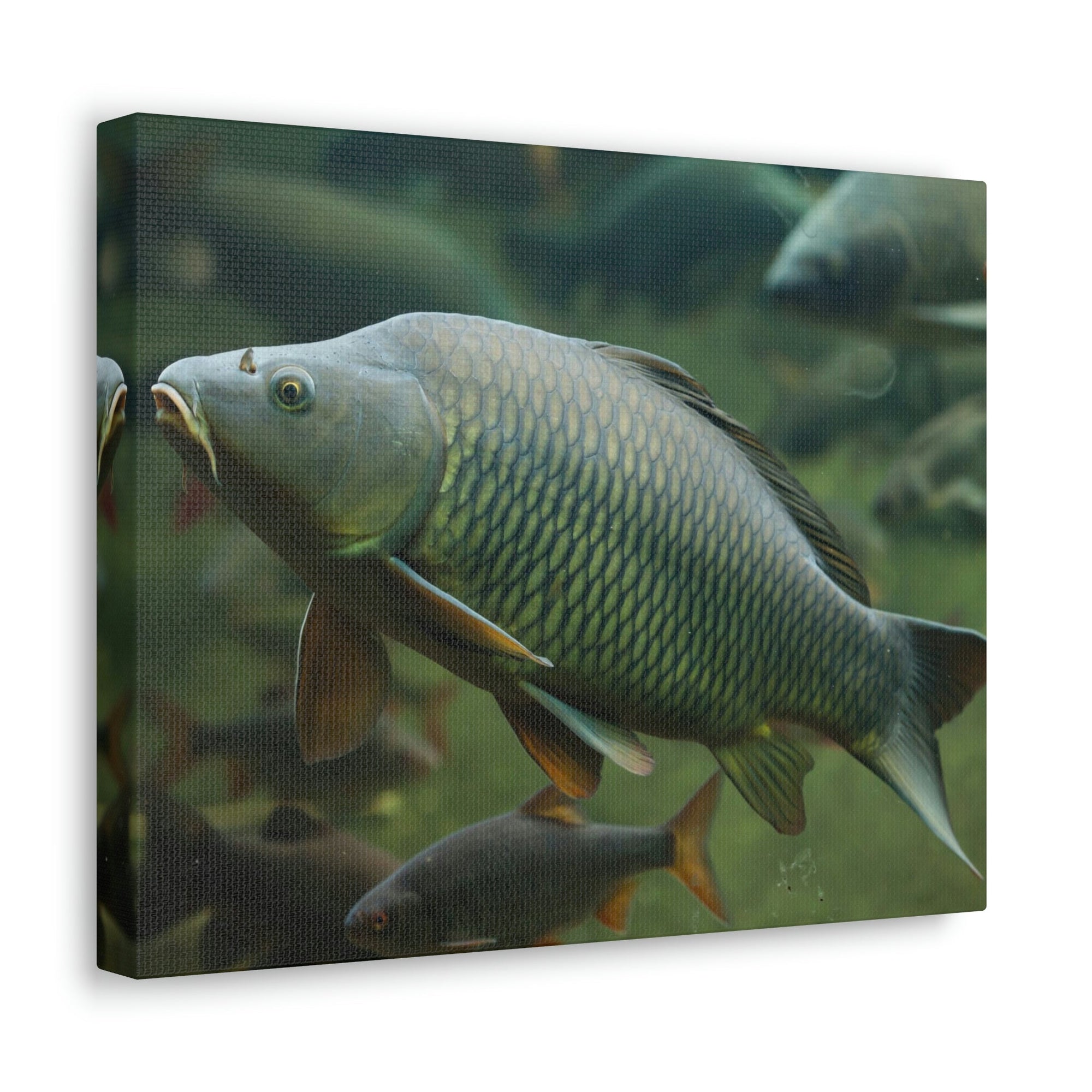 Scripture Walls Majestic Carp Art Majestic Carp Print Animal Wall Art Wildlife Canvas Prints Wall Art Ready to Hang Unframed-Express Your Love Gifts