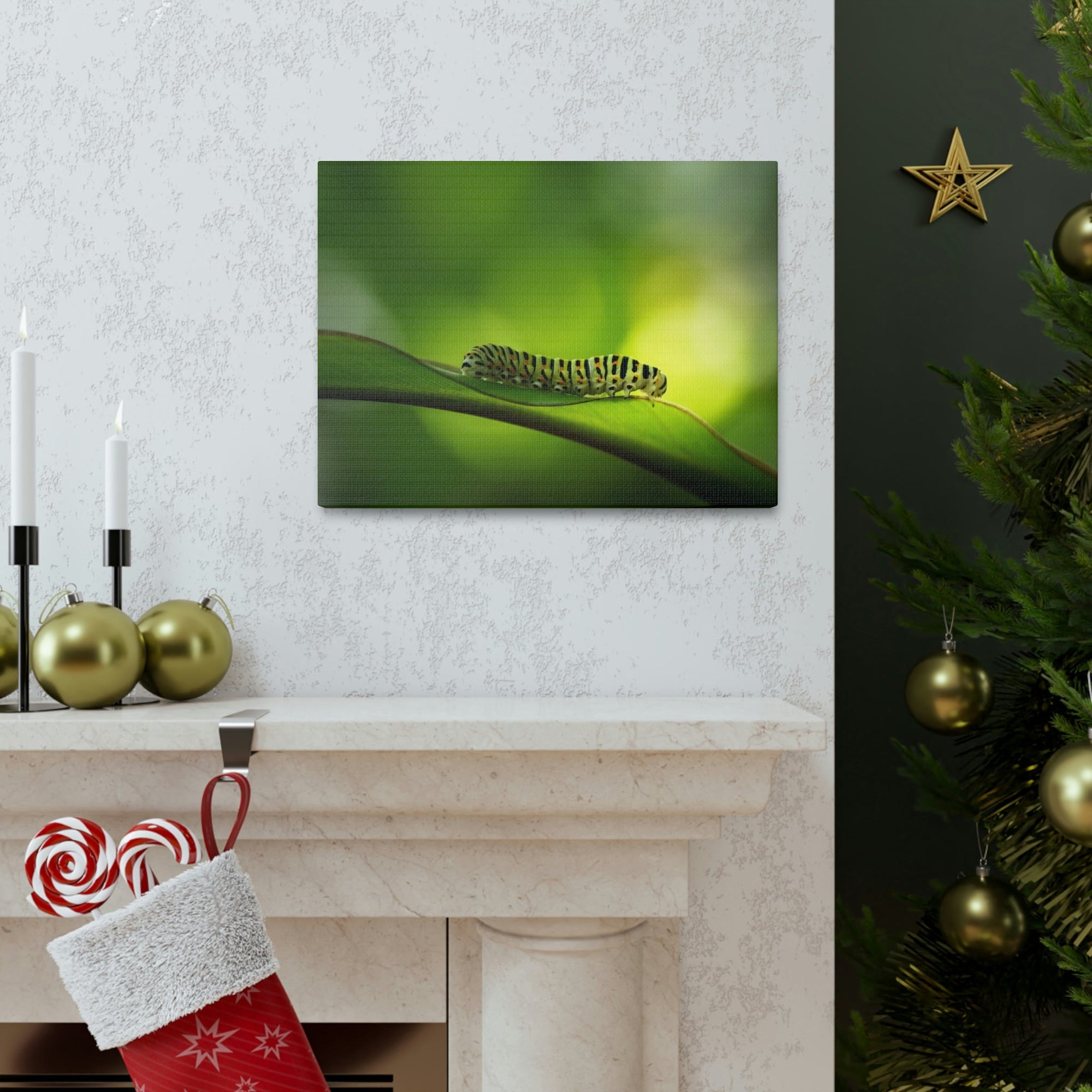 Scripture Walls Majestic Caterpillar Art Majestic Caterpillar Print Animal Wall Art Wildlife Canvas Prints Wall Art Ready to Hang Unframed-Express Your Love Gifts