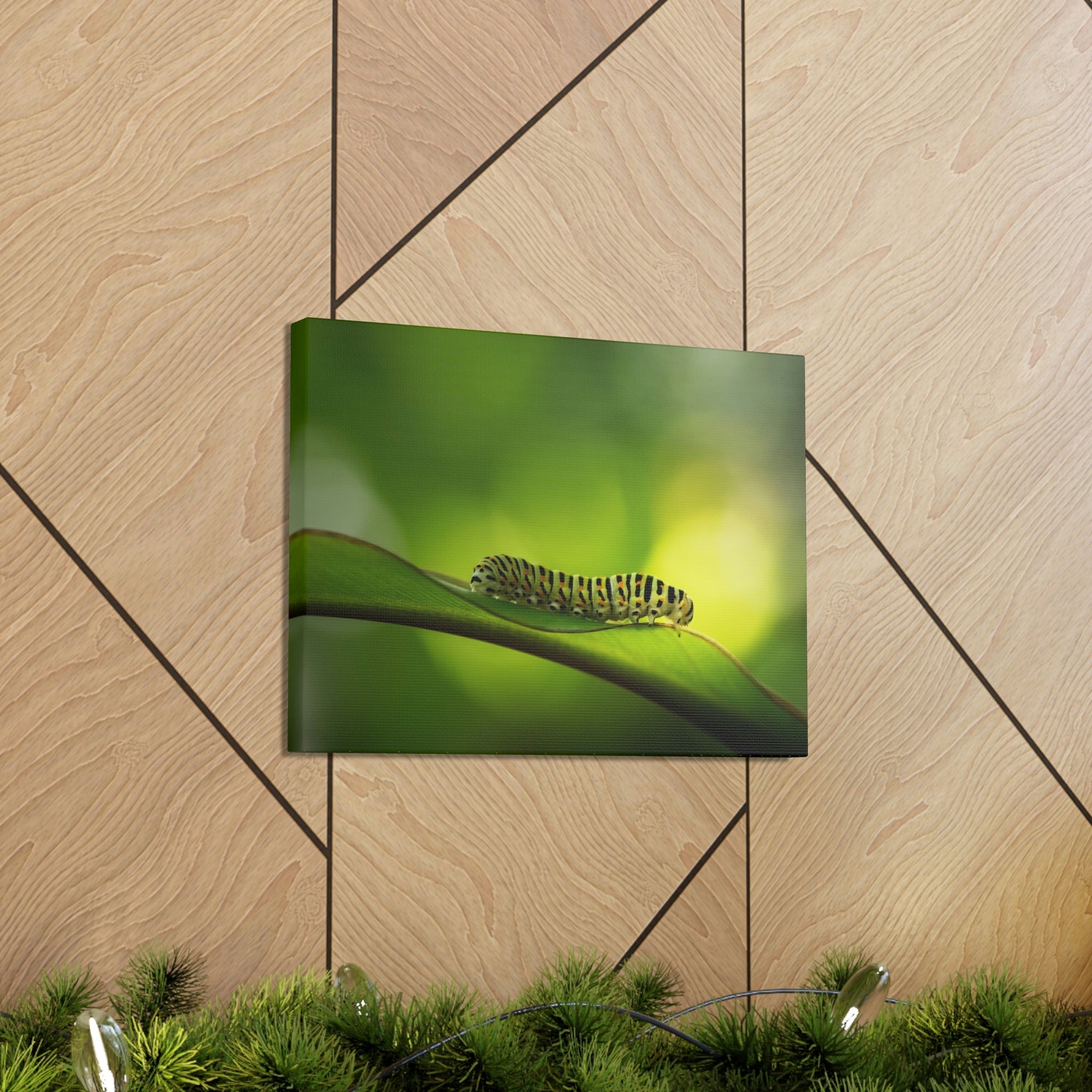 Scripture Walls Majestic Caterpillar Art Majestic Caterpillar Print Animal Wall Art Wildlife Canvas Prints Wall Art Ready to Hang Unframed-Express Your Love Gifts