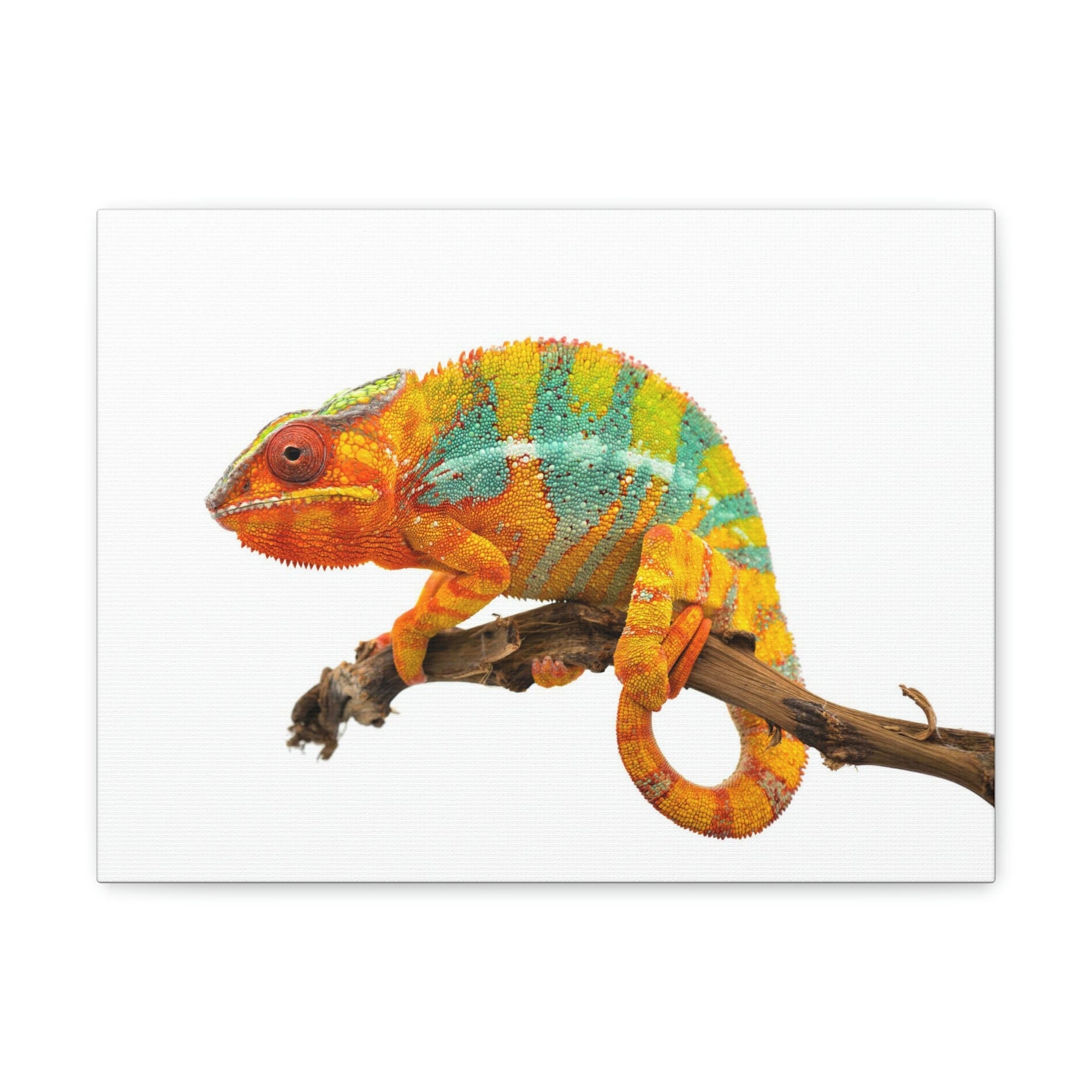 Scripture Walls Majestic Chameleon Art Majestic Chameleon Print Animal Wall Art Wildlife Canvas Prints Wall Art Ready to Hang Unframed-Express Your Love Gifts