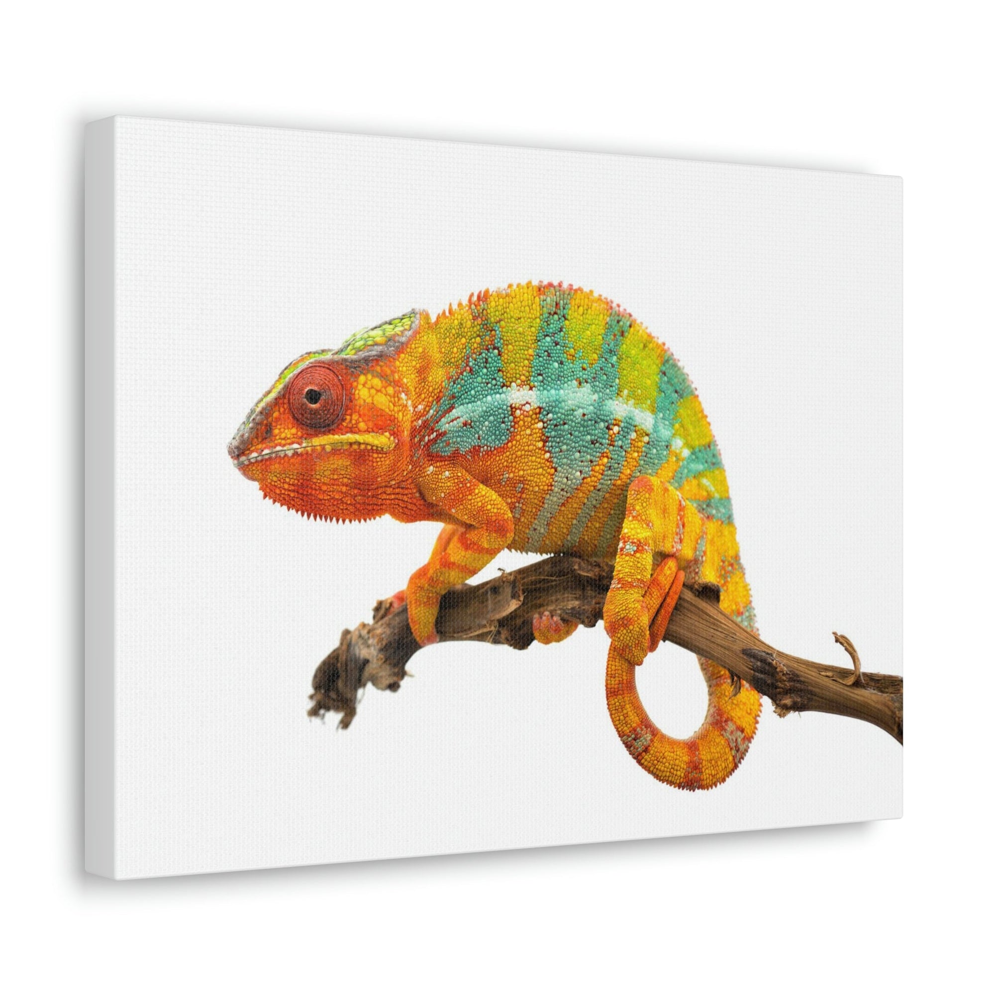 Scripture Walls Majestic Chameleon Art Majestic Chameleon Print Animal Wall Art Wildlife Canvas Prints Wall Art Ready to Hang Unframed-Express Your Love Gifts