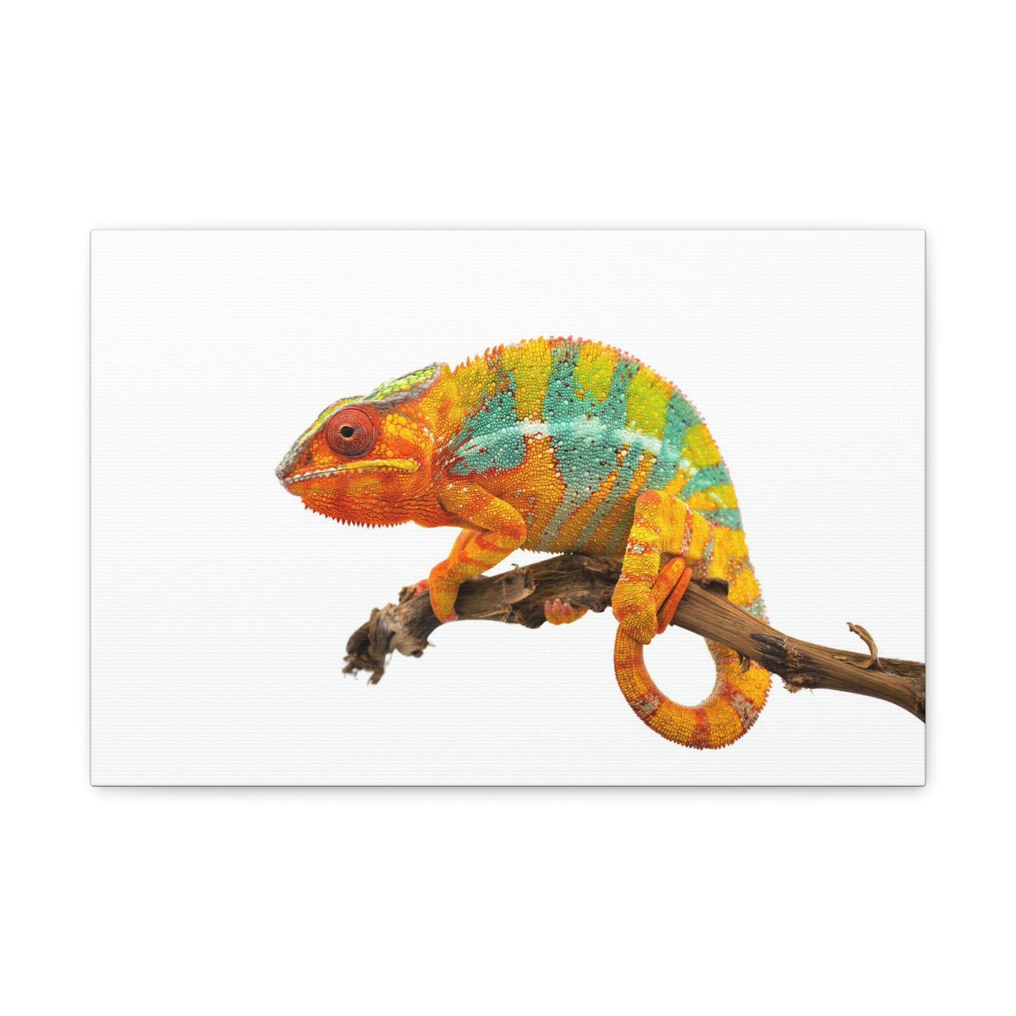 Scripture Walls Majestic Chameleon Art Majestic Chameleon Print Animal Wall Art Wildlife Canvas Prints Wall Art Ready to Hang Unframed-Express Your Love Gifts