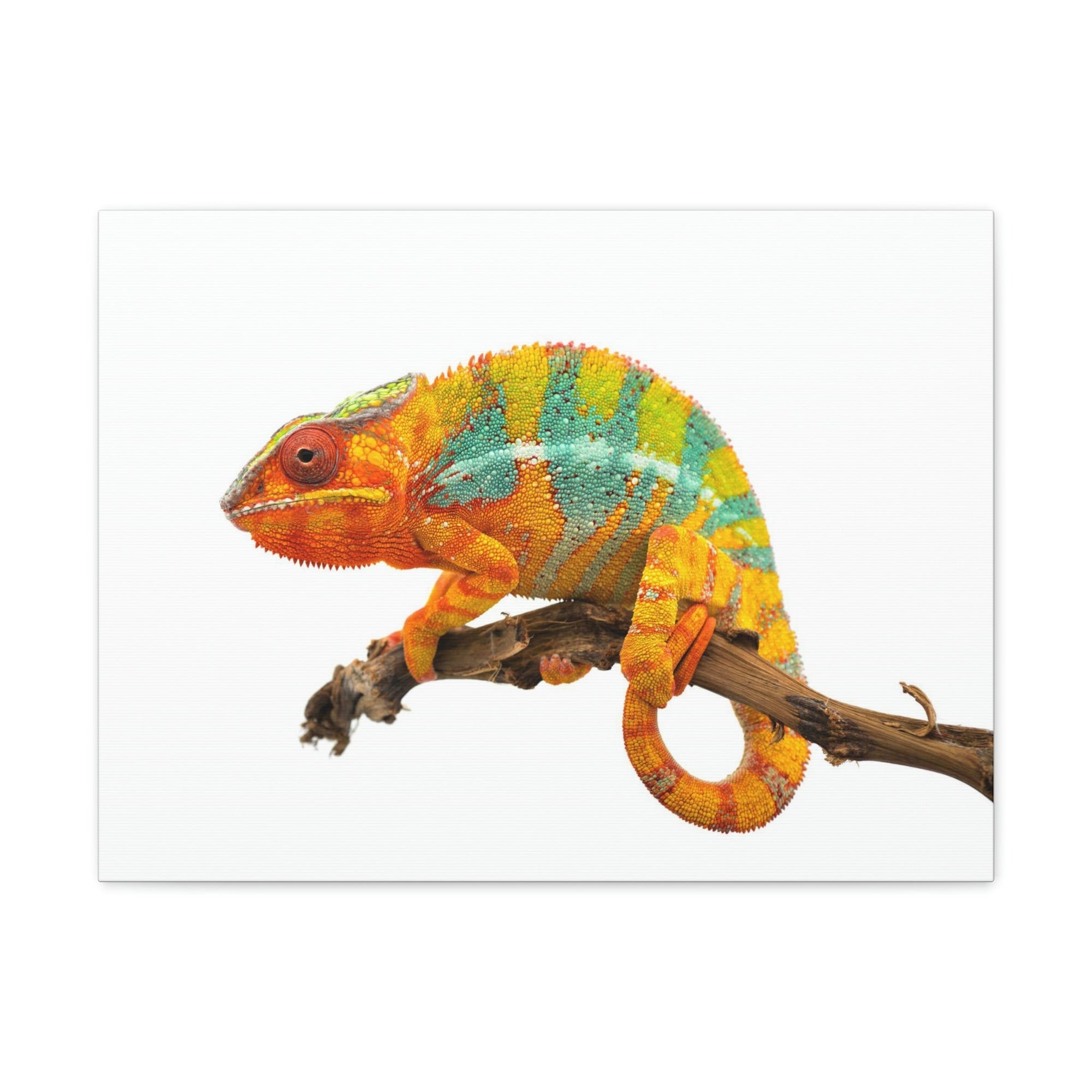 Scripture Walls Majestic Chameleon Art Majestic Chameleon Print Animal Wall Art Wildlife Canvas Prints Wall Art Ready to Hang Unframed-Express Your Love Gifts