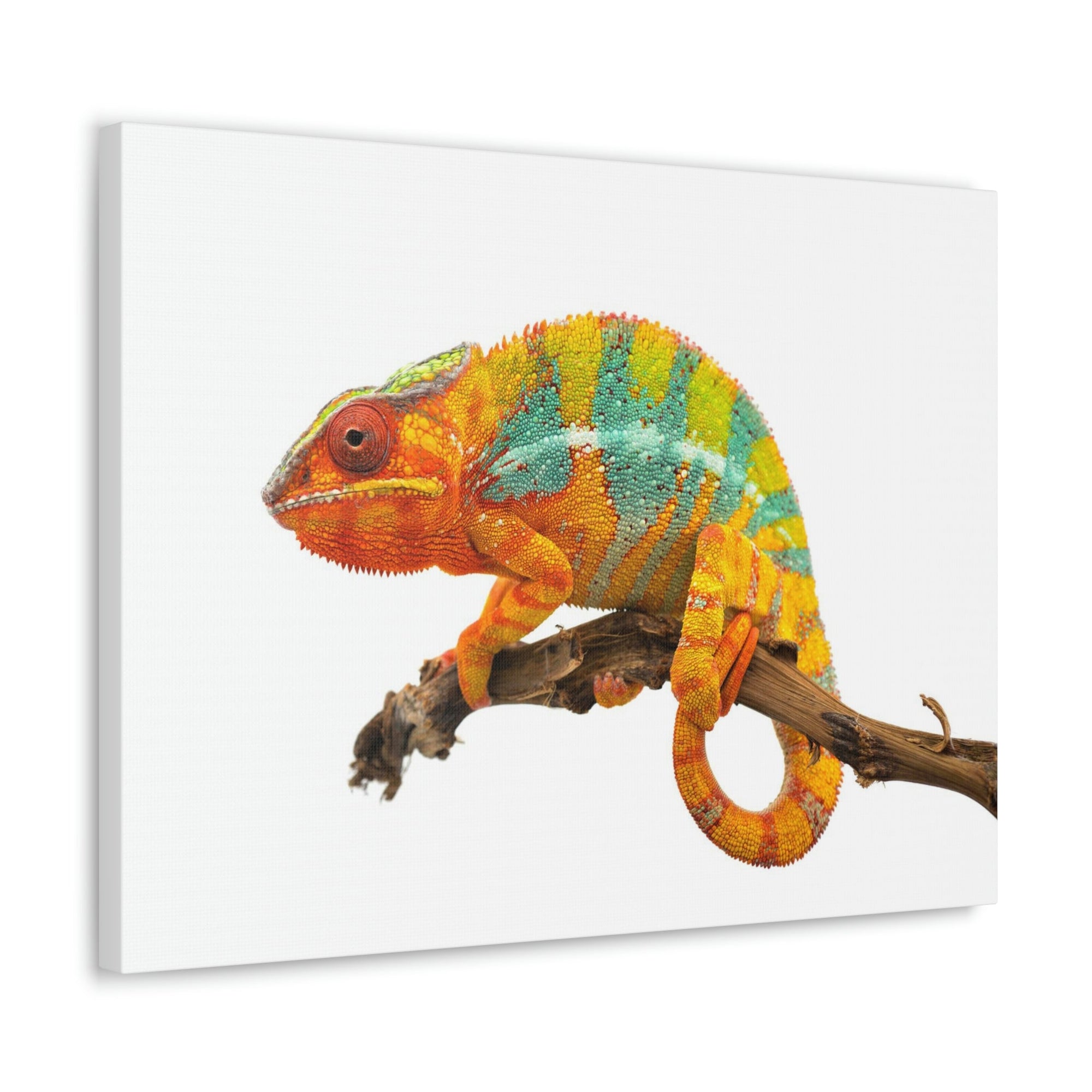 Scripture Walls Majestic Chameleon Art Majestic Chameleon Print Animal Wall Art Wildlife Canvas Prints Wall Art Ready to Hang Unframed-Express Your Love Gifts