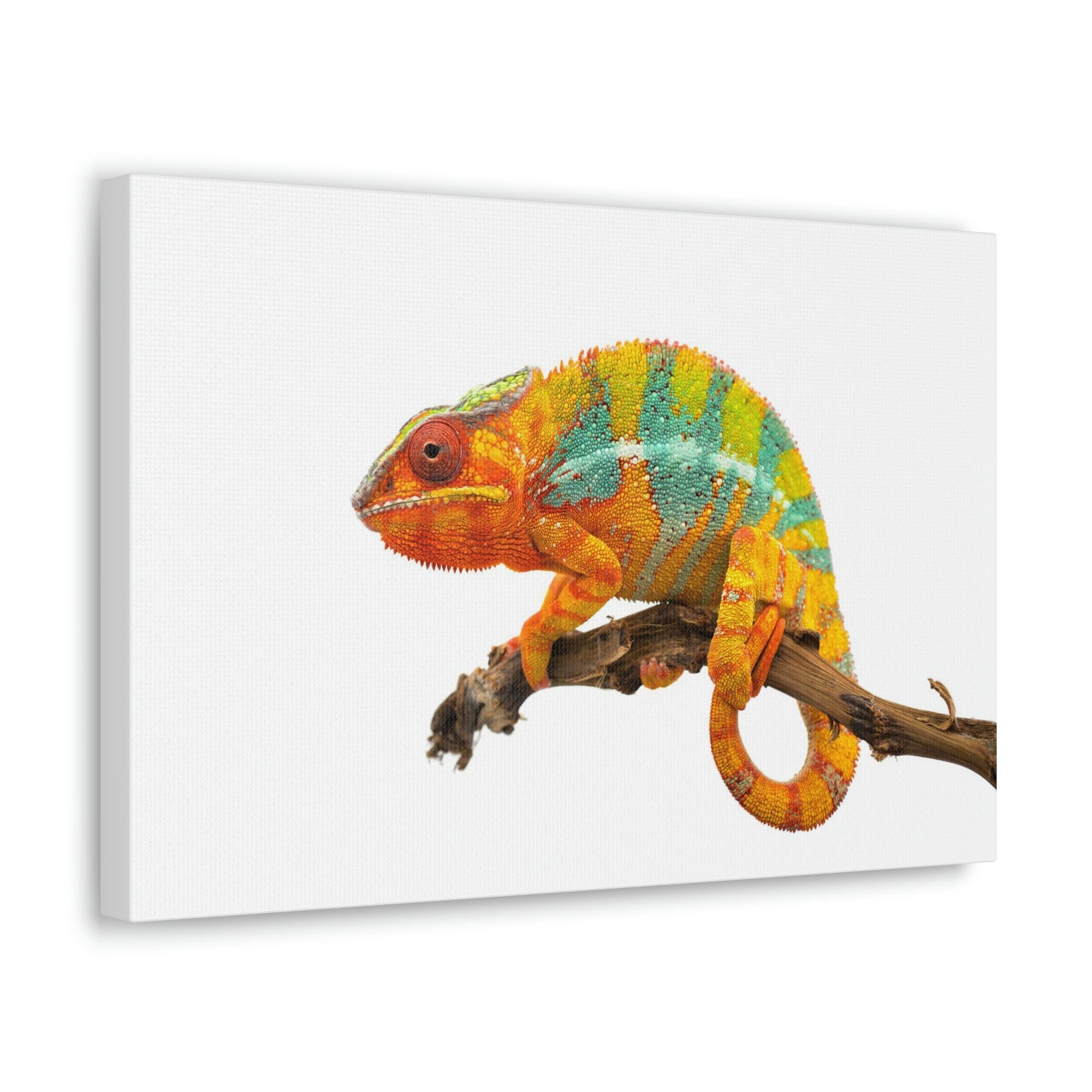 Scripture Walls Majestic Chameleon Art Majestic Chameleon Print Animal Wall Art Wildlife Canvas Prints Wall Art Ready to Hang Unframed-Express Your Love Gifts