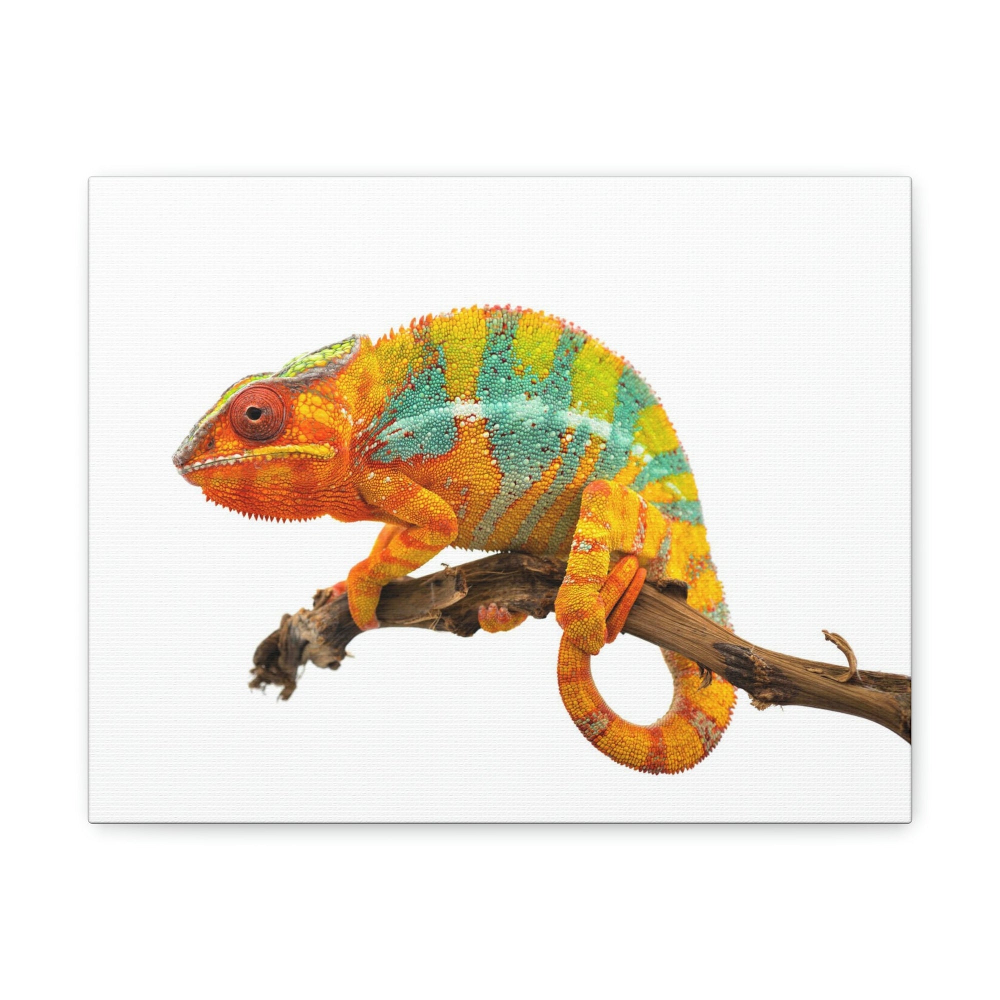 Scripture Walls Majestic Chameleon Art Majestic Chameleon Print Animal Wall Art Wildlife Canvas Prints Wall Art Ready to Hang Unframed-Express Your Love Gifts