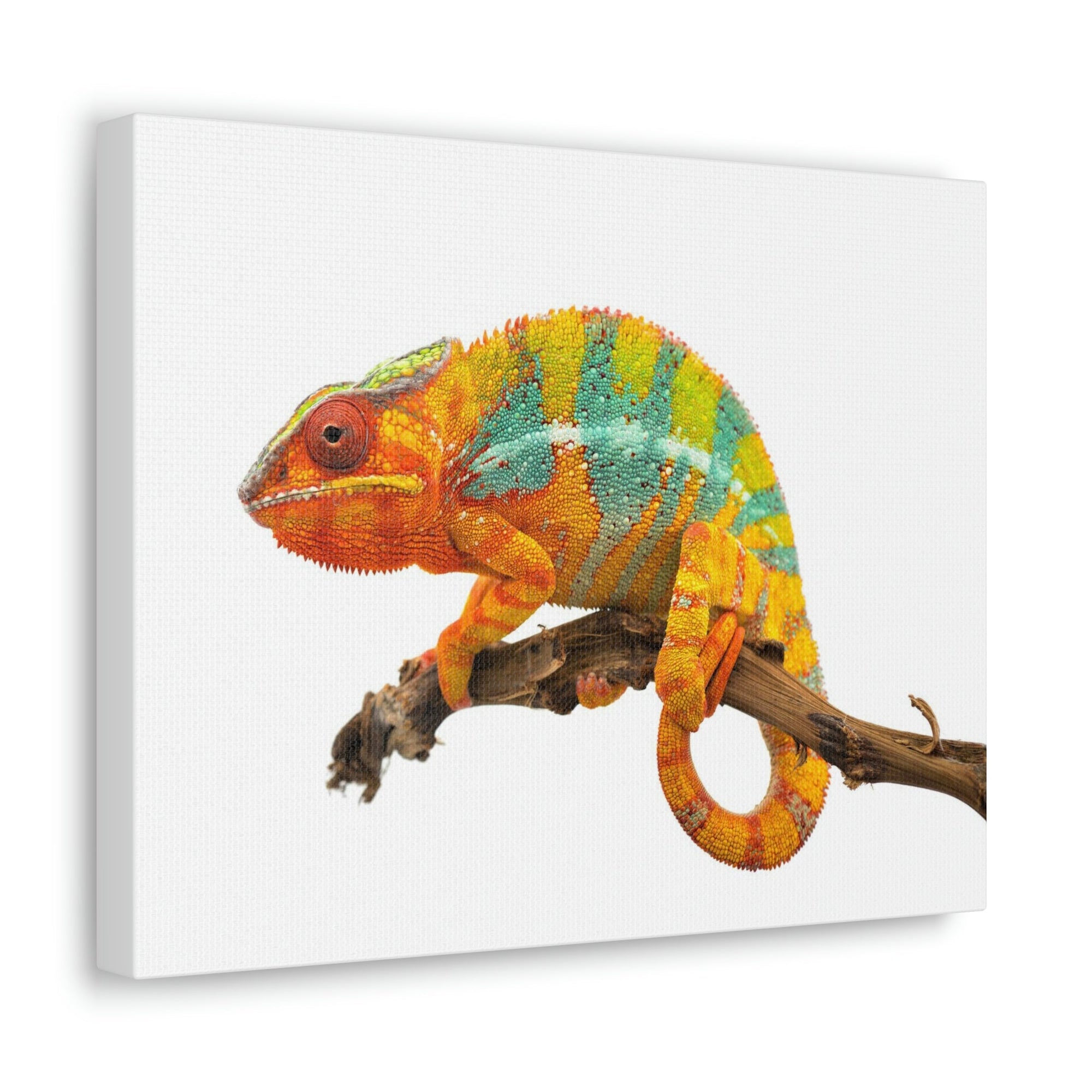 Scripture Walls Majestic Chameleon Art Majestic Chameleon Print Animal Wall Art Wildlife Canvas Prints Wall Art Ready to Hang Unframed-Express Your Love Gifts