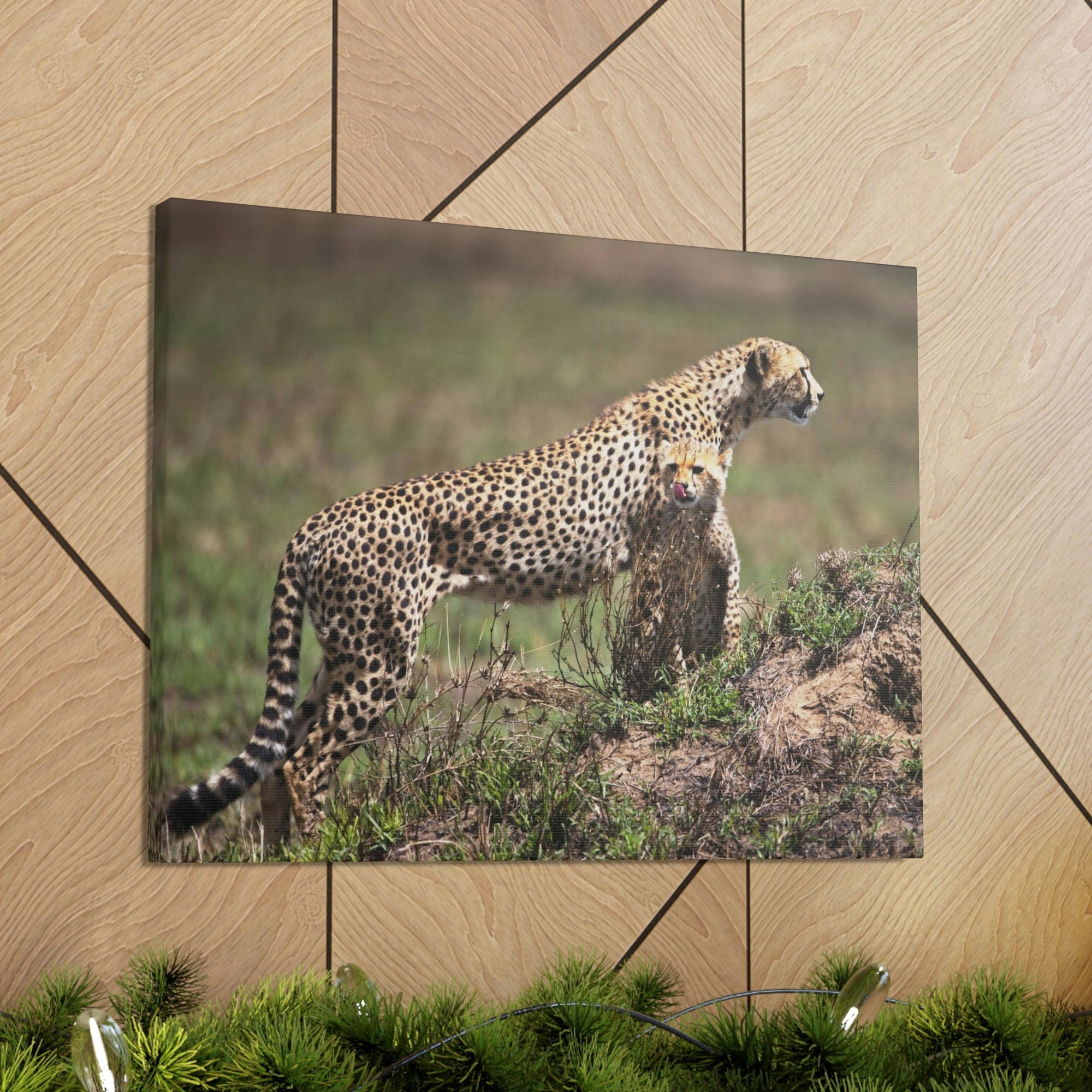 Scripture Walls Majestic Cheetah Art Majestic Cheetah Print Animal Wall Art Wildlife Canvas Prints Wall Art Ready to Hang Unframed-Express Your Love Gifts