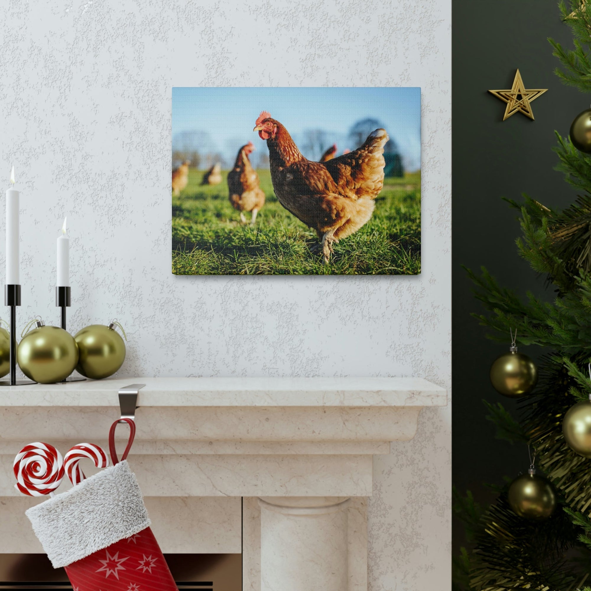 Scripture Walls Majestic Chicken Art Majestic Chicken Print Animal Wall Art Wildlife Canvas Prints Wall Art Ready to Hang Unframed-Express Your Love Gifts