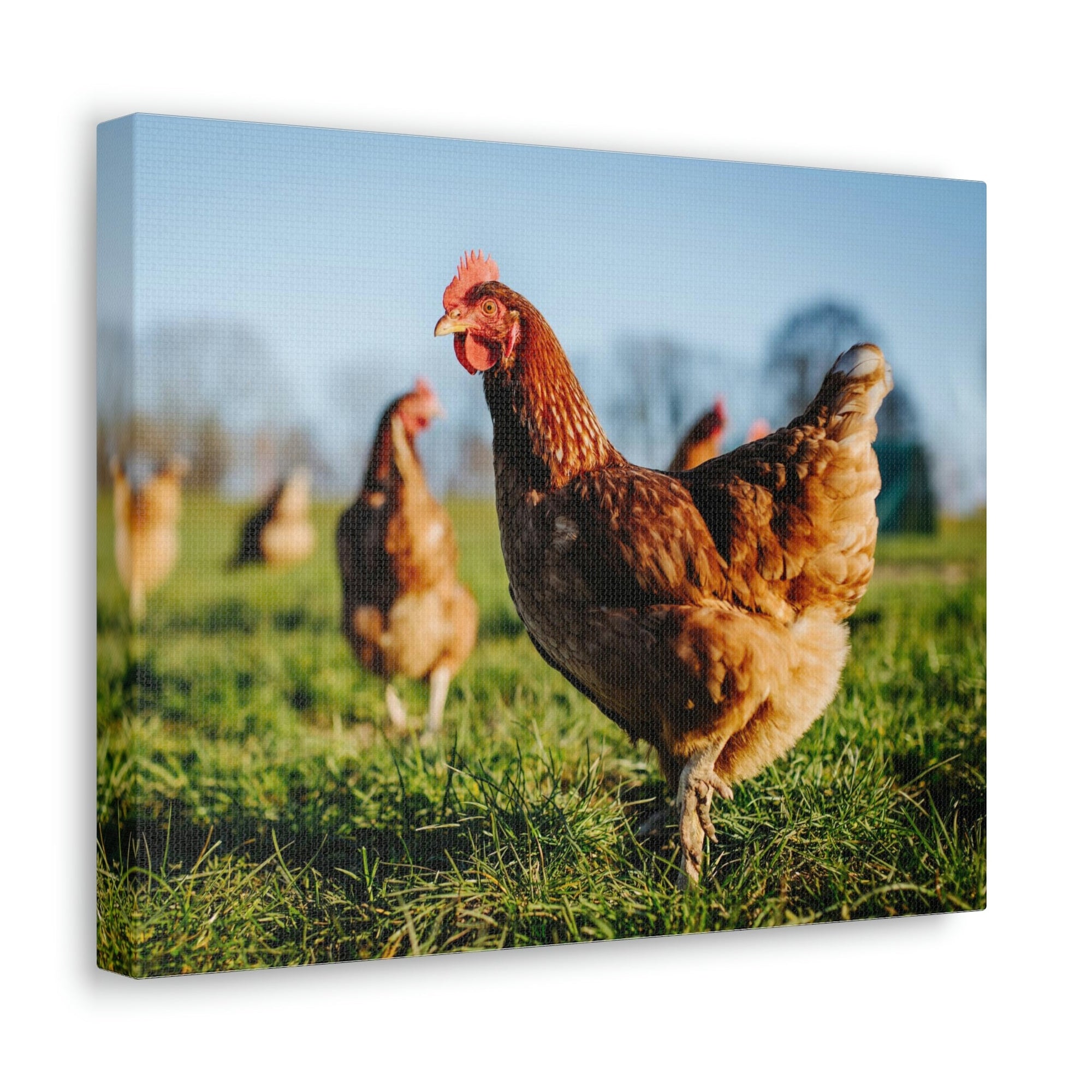 Scripture Walls Majestic Chicken Art Majestic Chicken Print Animal Wall Art Wildlife Canvas Prints Wall Art Ready to Hang Unframed-Express Your Love Gifts