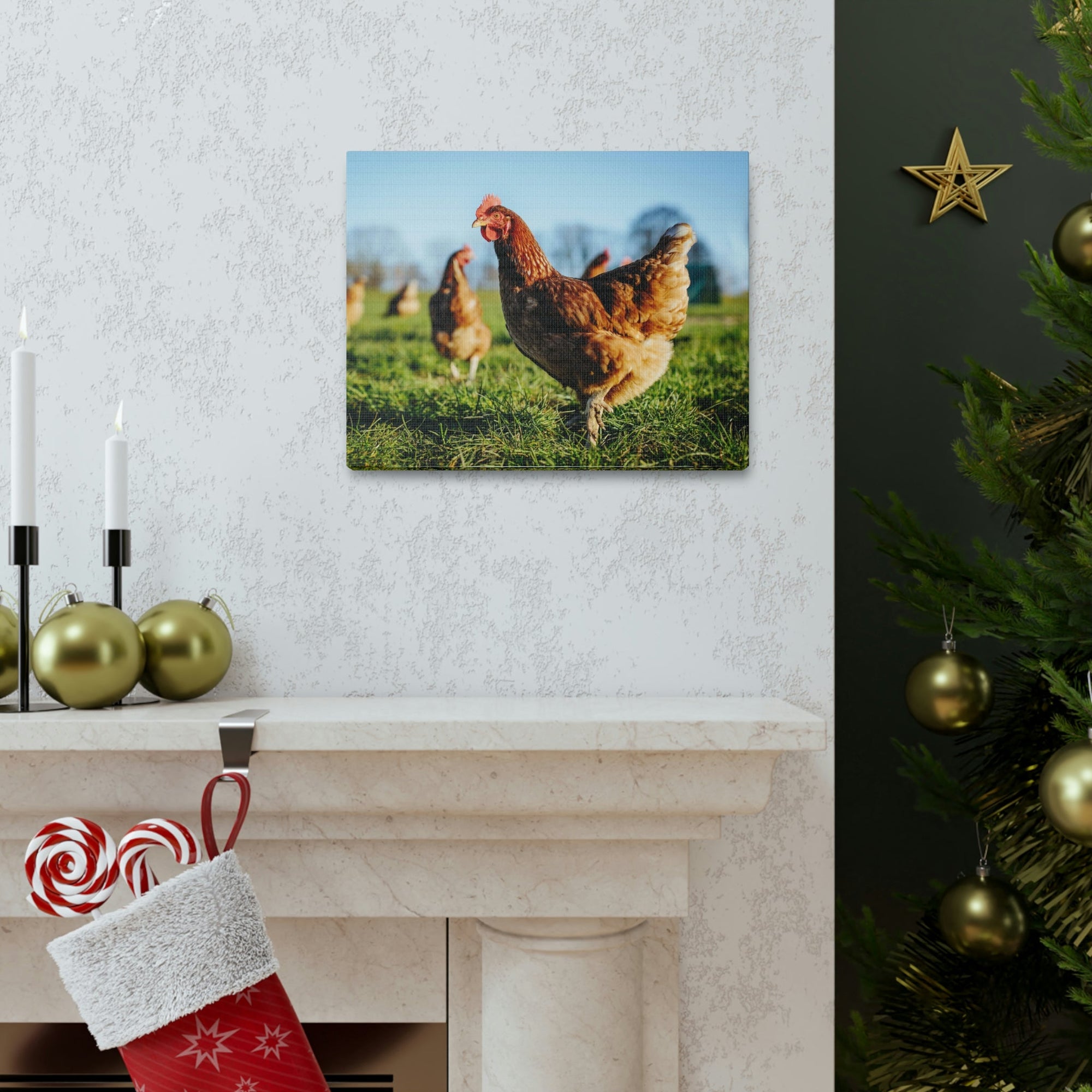 Scripture Walls Majestic Chicken Art Majestic Chicken Print Animal Wall Art Wildlife Canvas Prints Wall Art Ready to Hang Unframed-Express Your Love Gifts