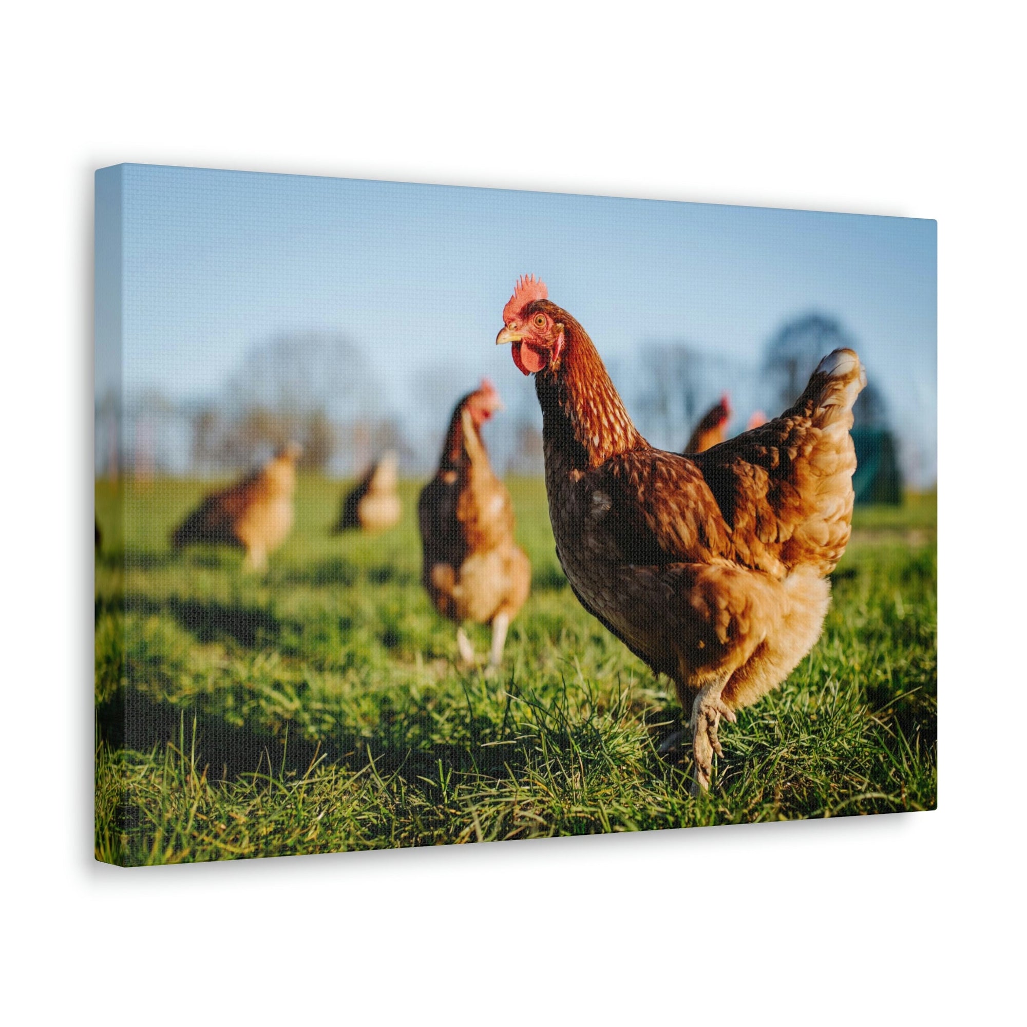 Scripture Walls Majestic Chicken Art Majestic Chicken Print Animal Wall Art Wildlife Canvas Prints Wall Art Ready to Hang Unframed-Express Your Love Gifts