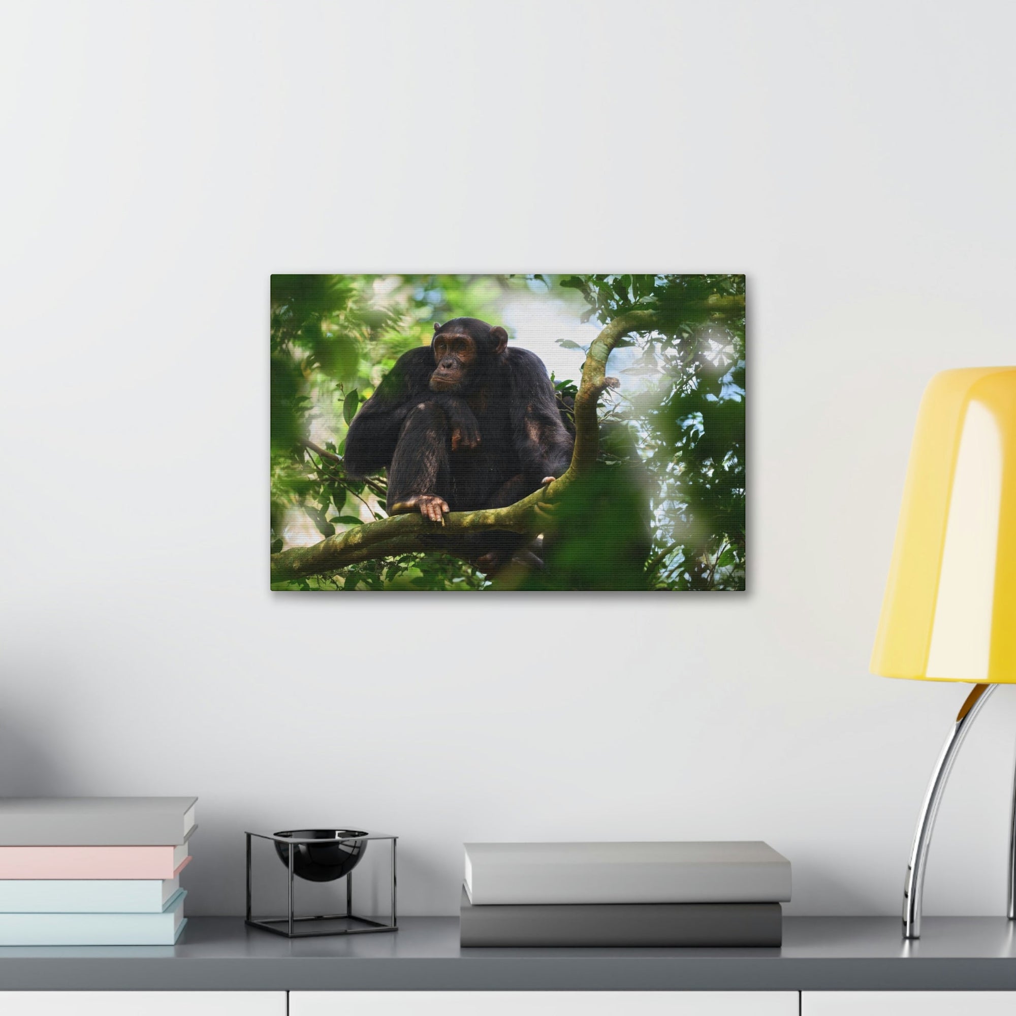 Scripture Walls Majestic Chimpanzee Art Majestic Chimpanzee Print Animal Wall Art Wildlife Canvas Prints Wall Art Ready to Hang Unframed-Express Your Love Gifts